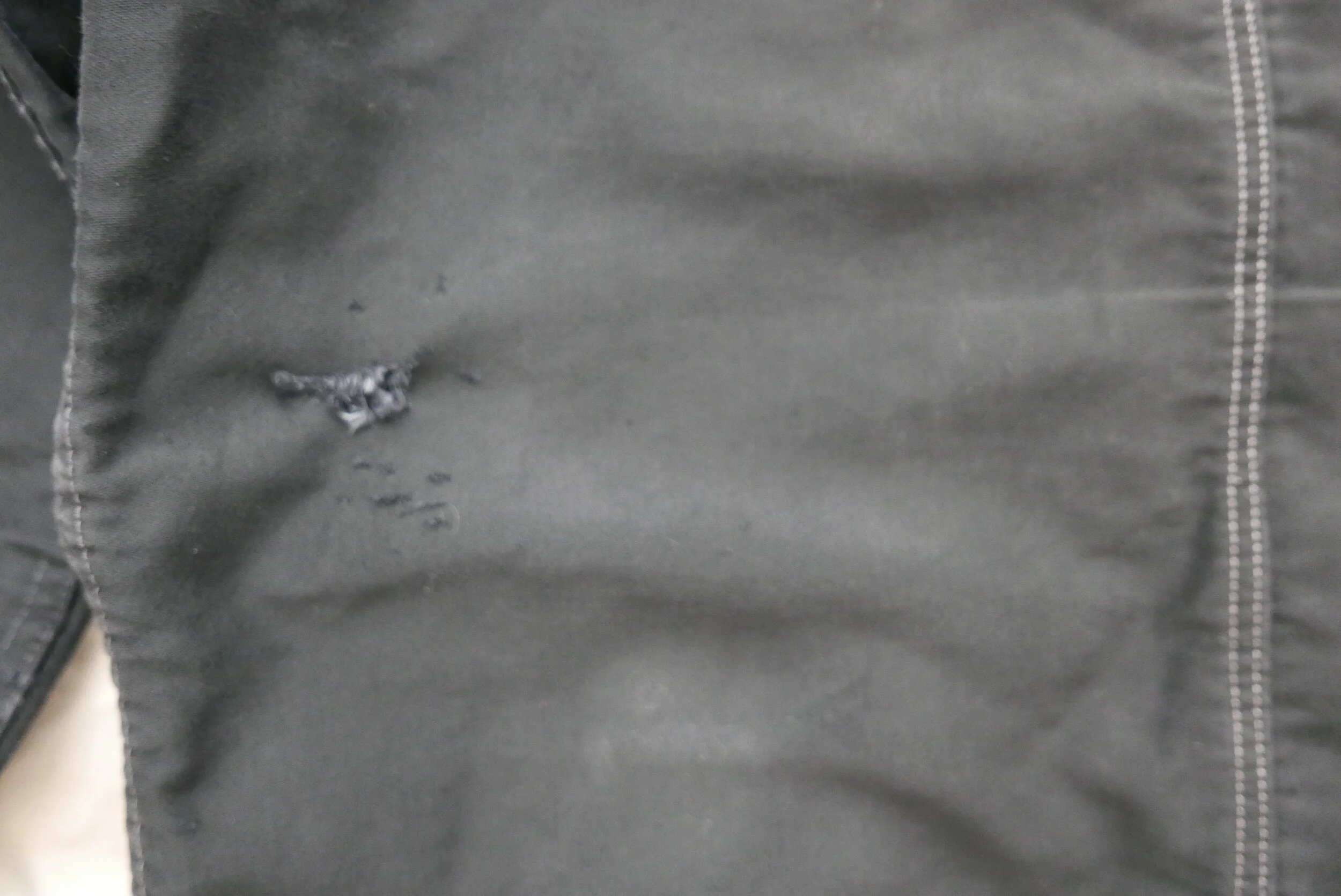 L1260205.JPG