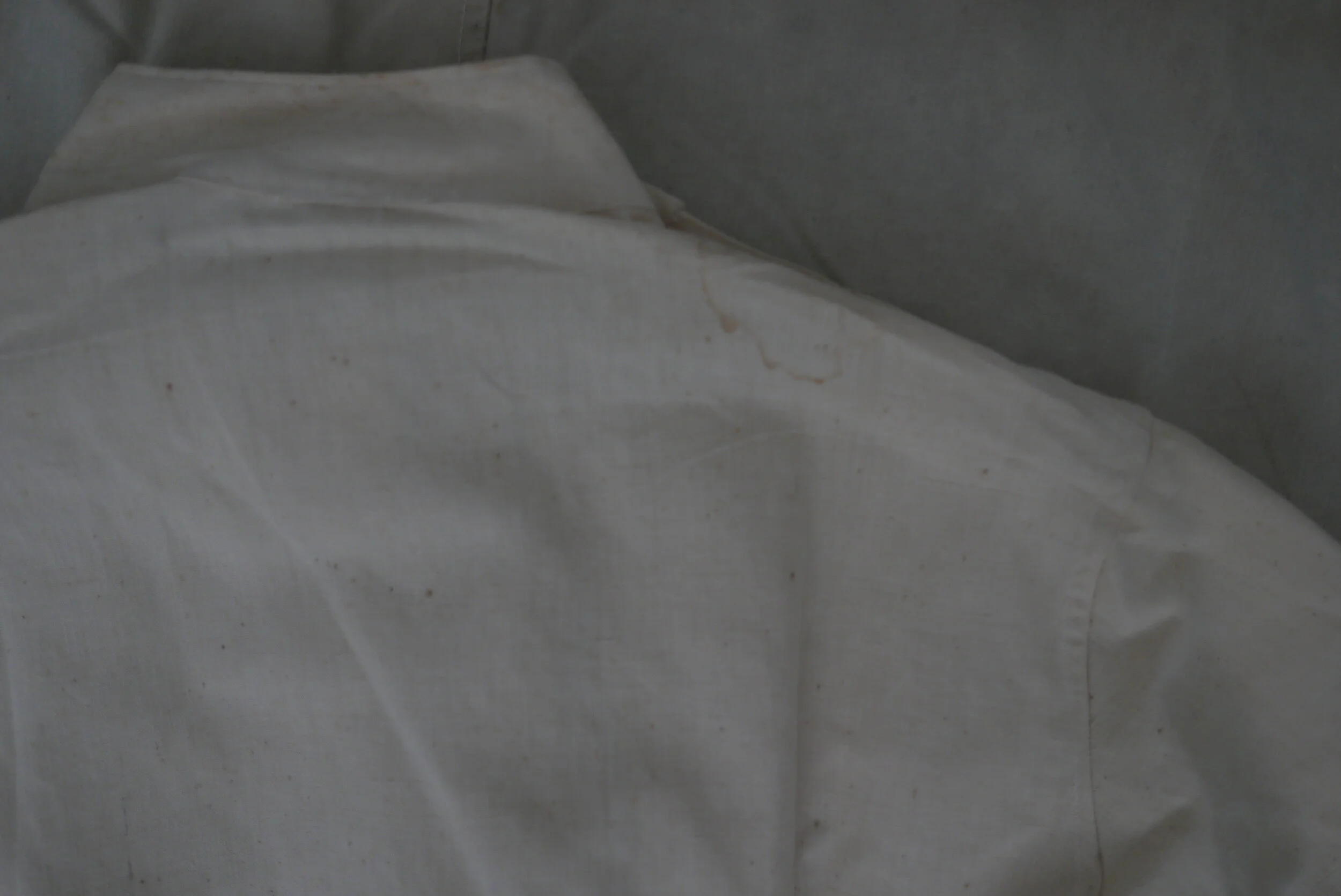 L1270021.JPG