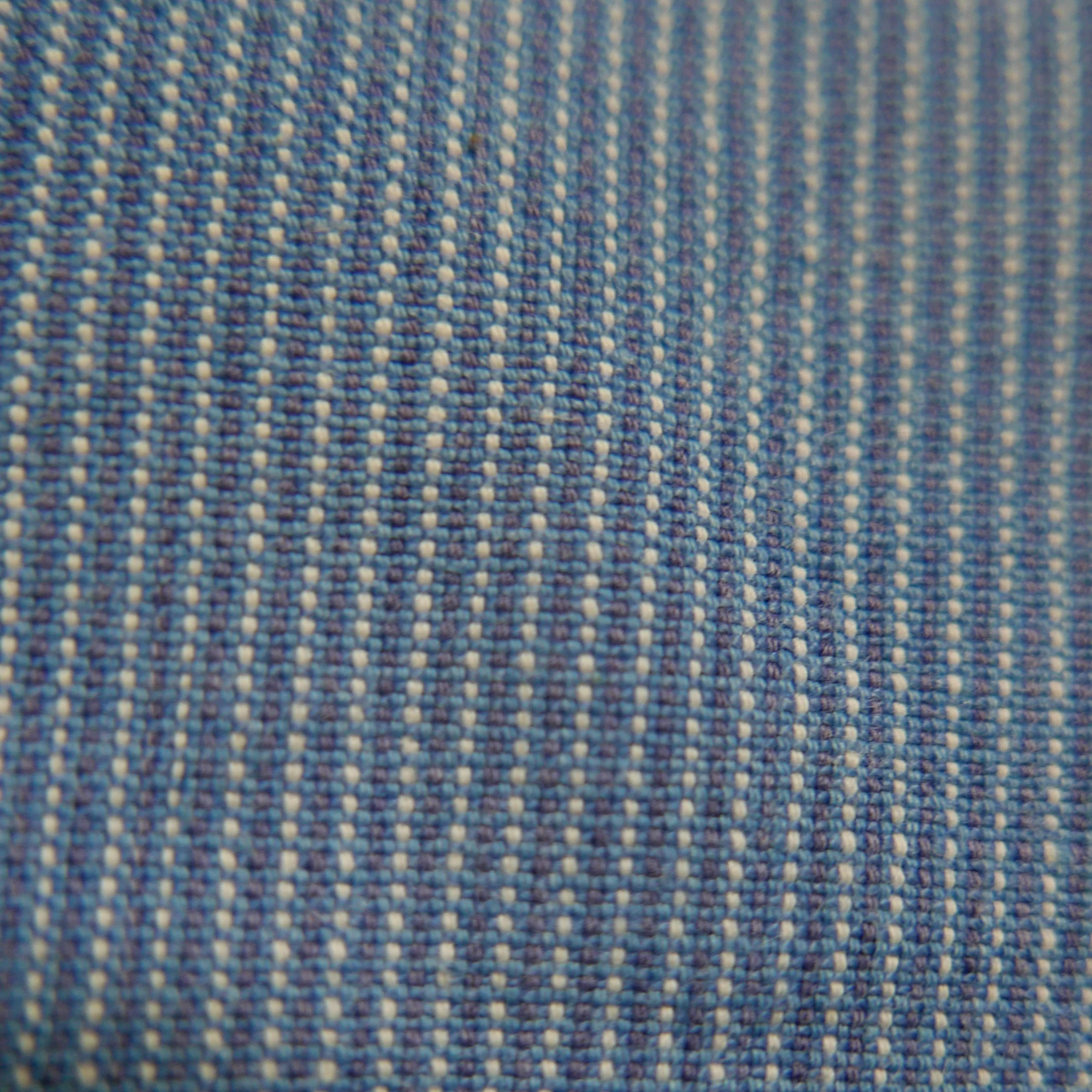 L1380448.JPG