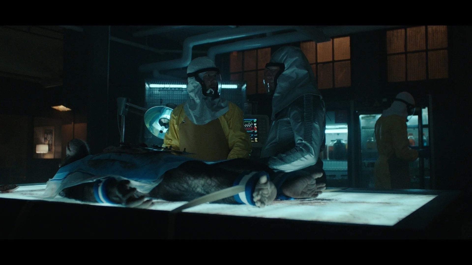  Interior Tanzania Lab 