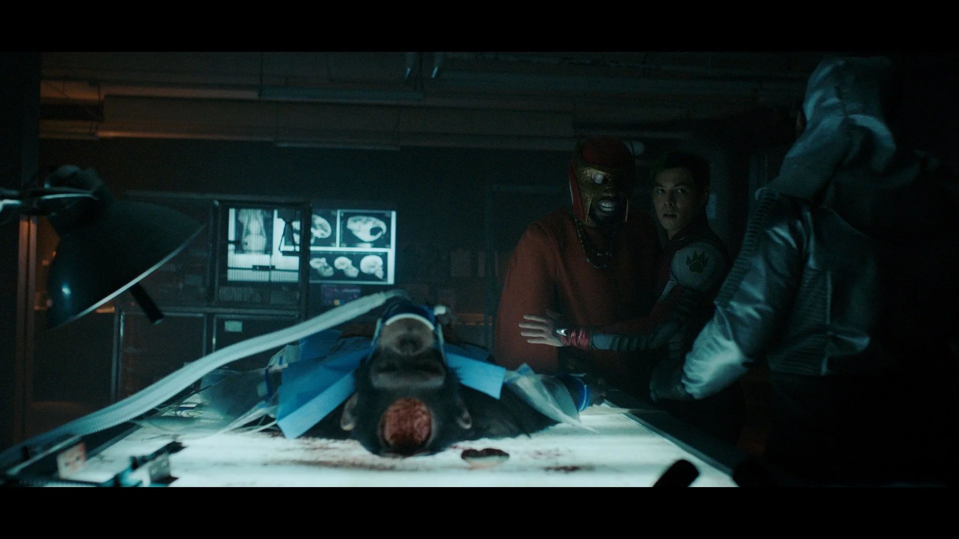  Interior Tanzania Lab 