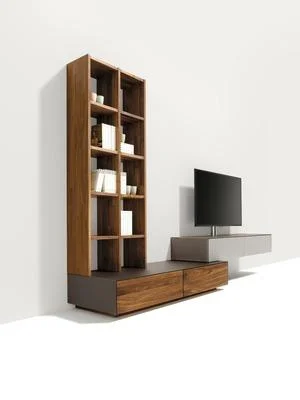 CUBUS PURE ENTERTAINMENT SYSTEM
