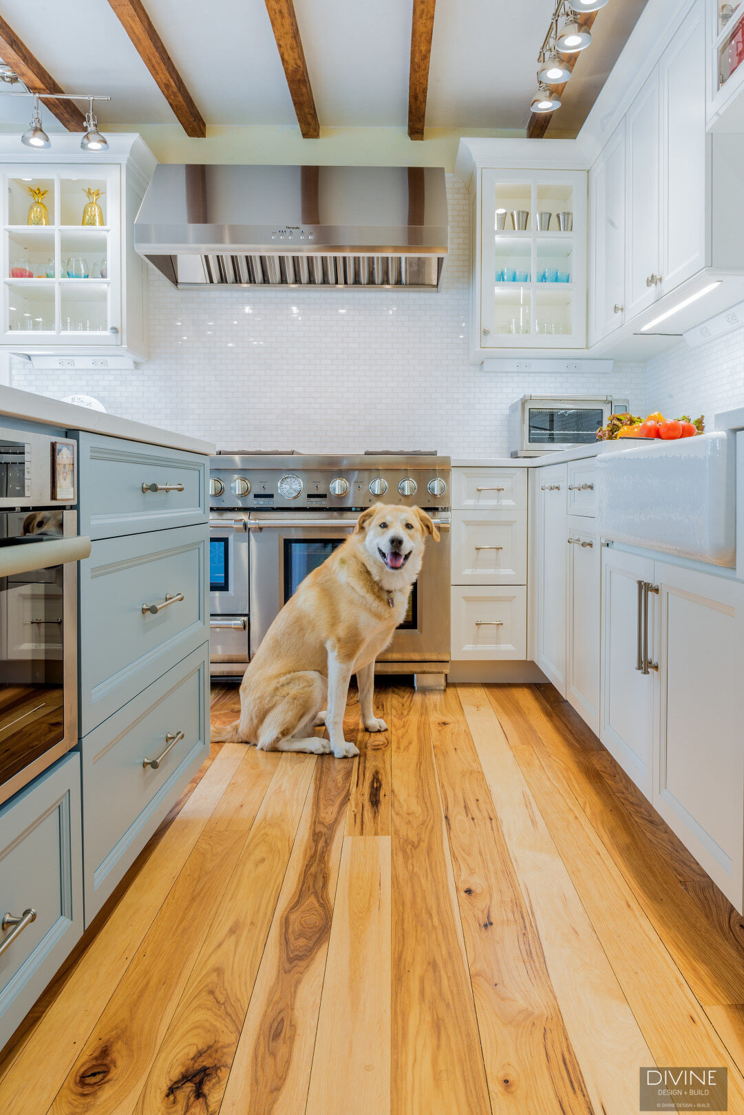 white, shaker style cabinets with brushed nickel accessories, white mosaic subway tile backsplash, cambria countertops with light marbling in grey tone and a labrador retriever