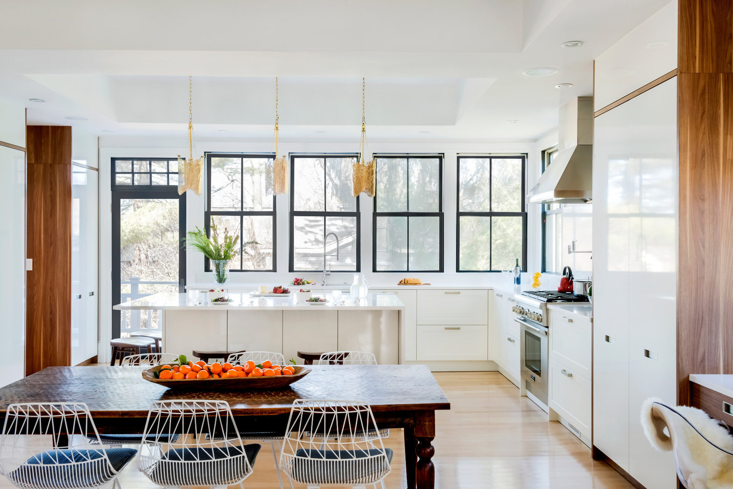 BOSTON NEWTON TRANSITIONAL EUROPEAN LEICHT KITCHEN