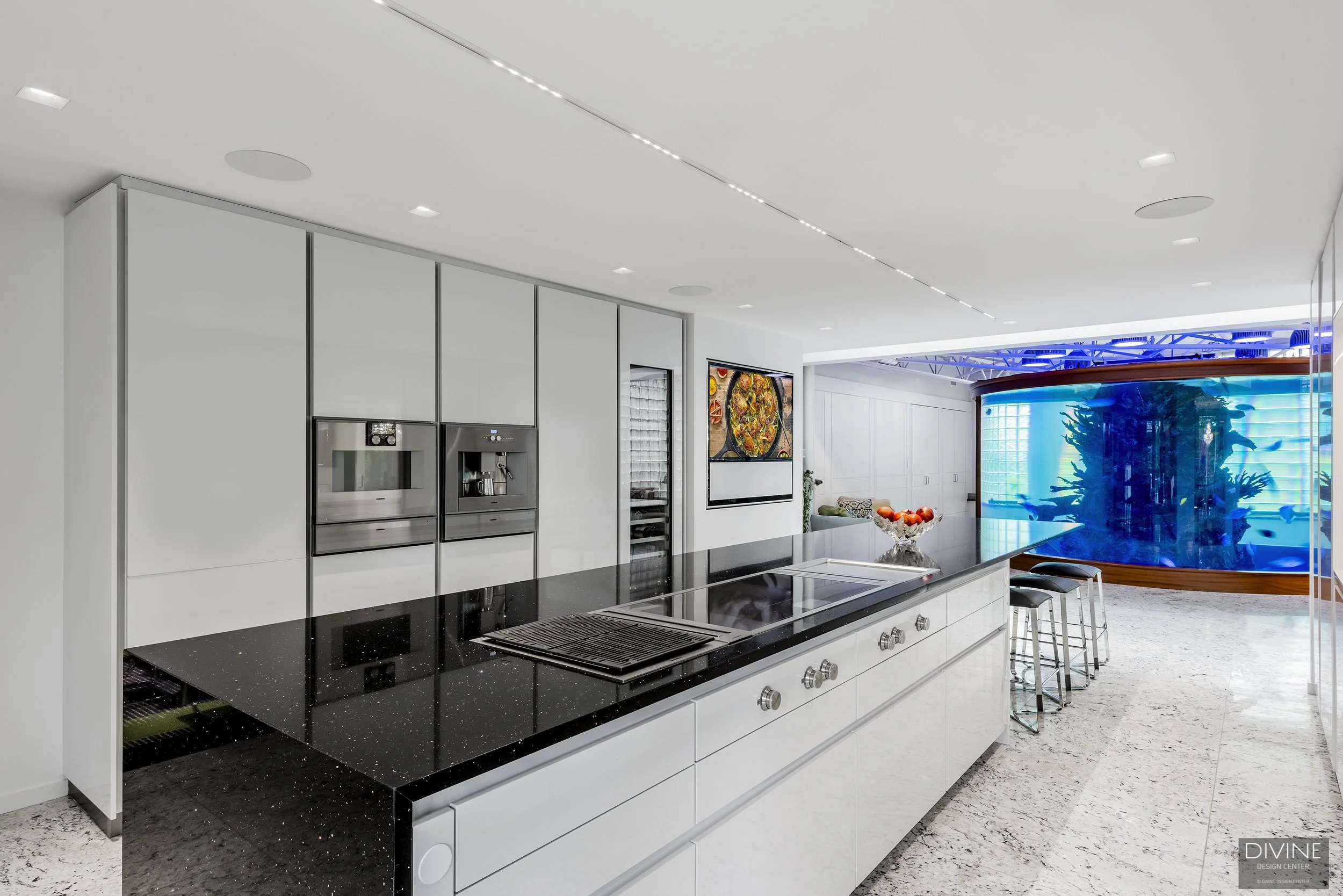 Swampscott MA Modern Kitchen With Aquarium