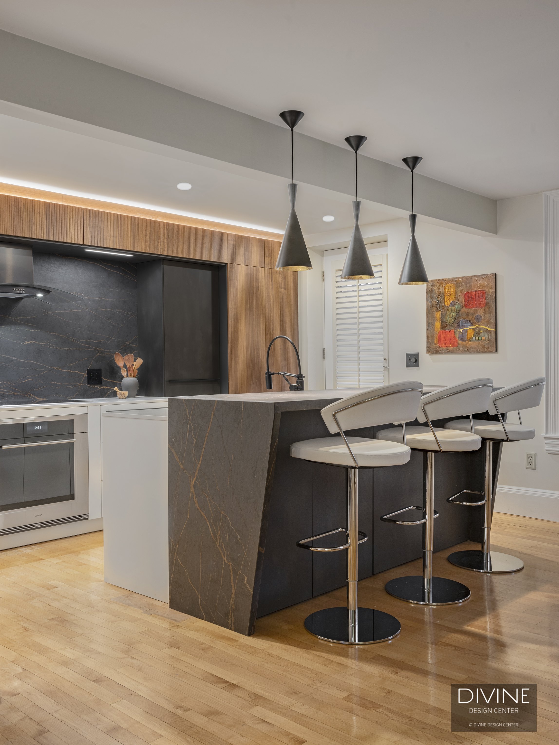 Worcester Square Boston Modern Kitchen