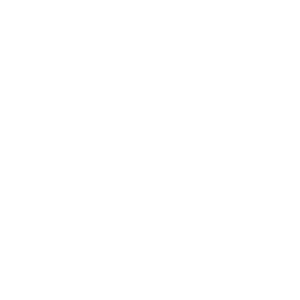 FESFOC
