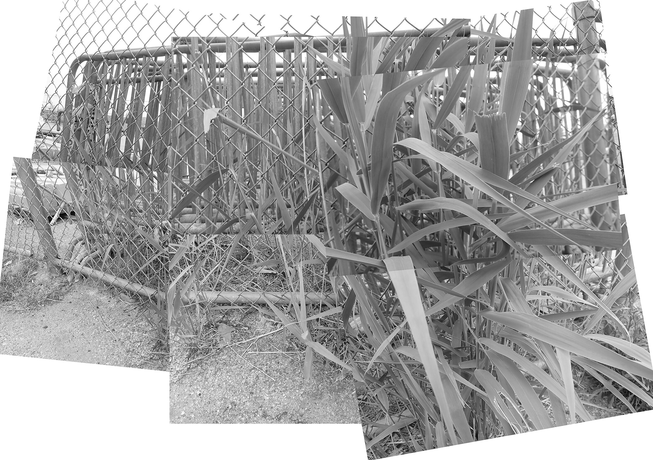 200528 barricades-150dpi.jpg