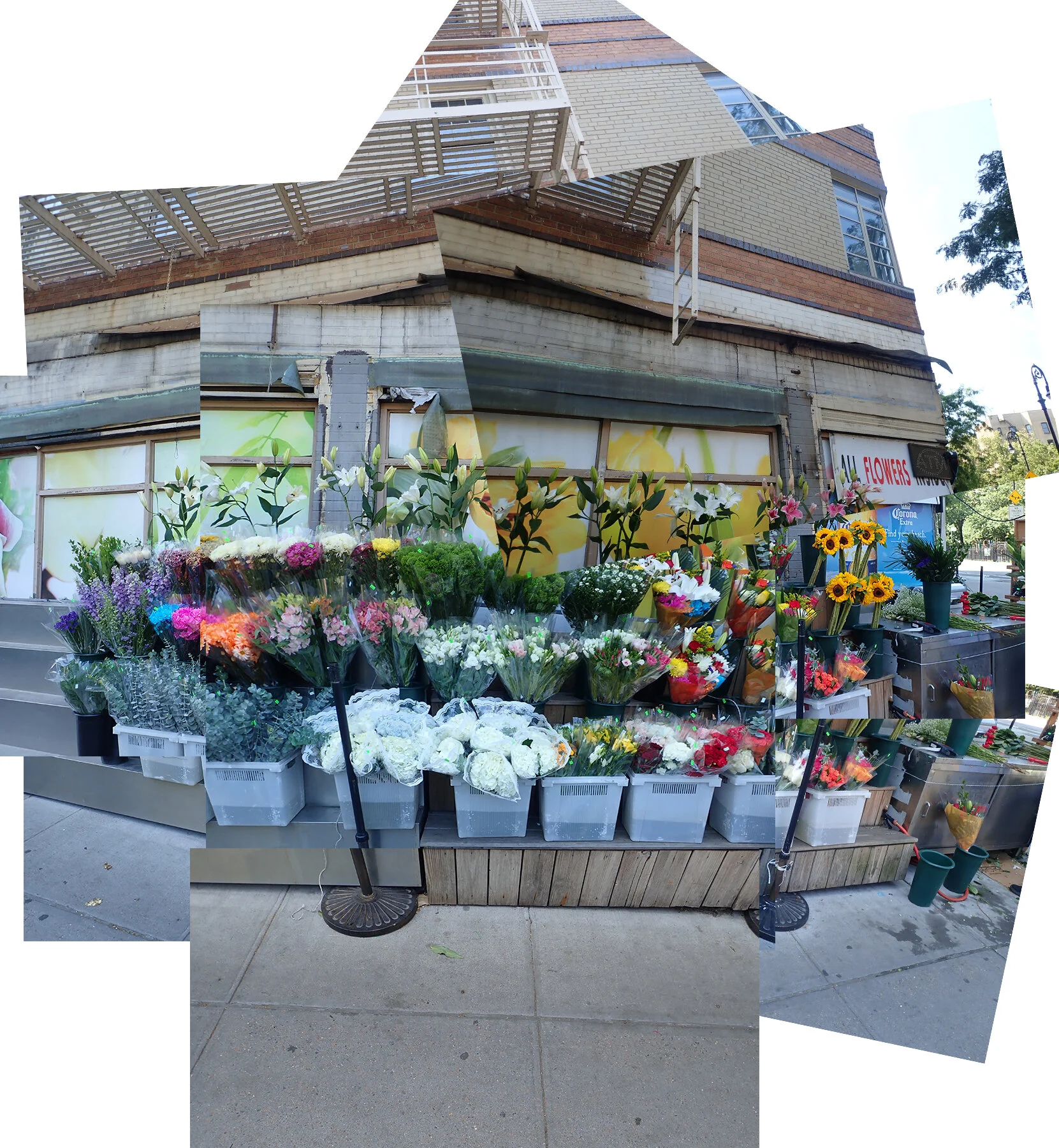 200623 flowers-150dpi copy.jpg