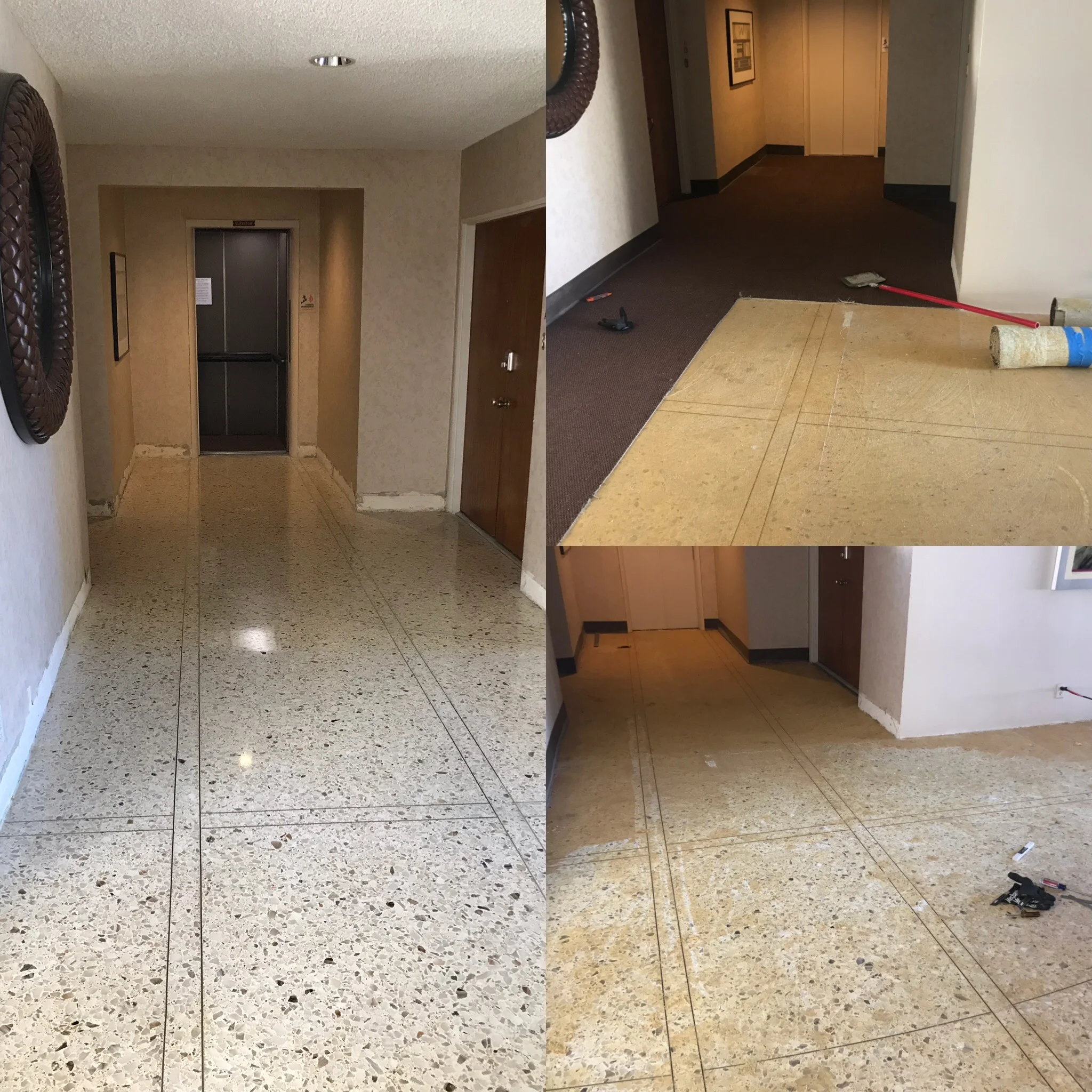 CARPET REMOVED AND TERRAZZO FULLY RESTORED 