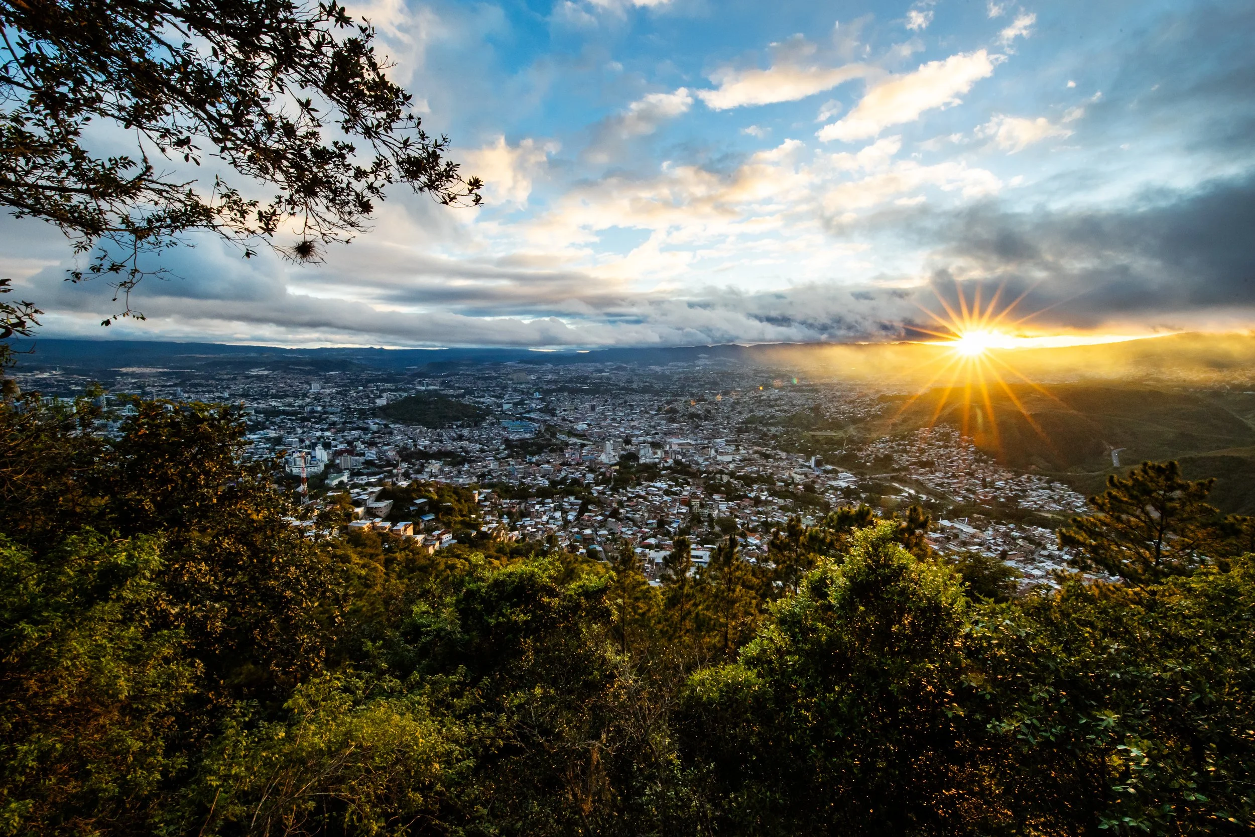 620_00251_LA8I3744_Jack Goras.jpg