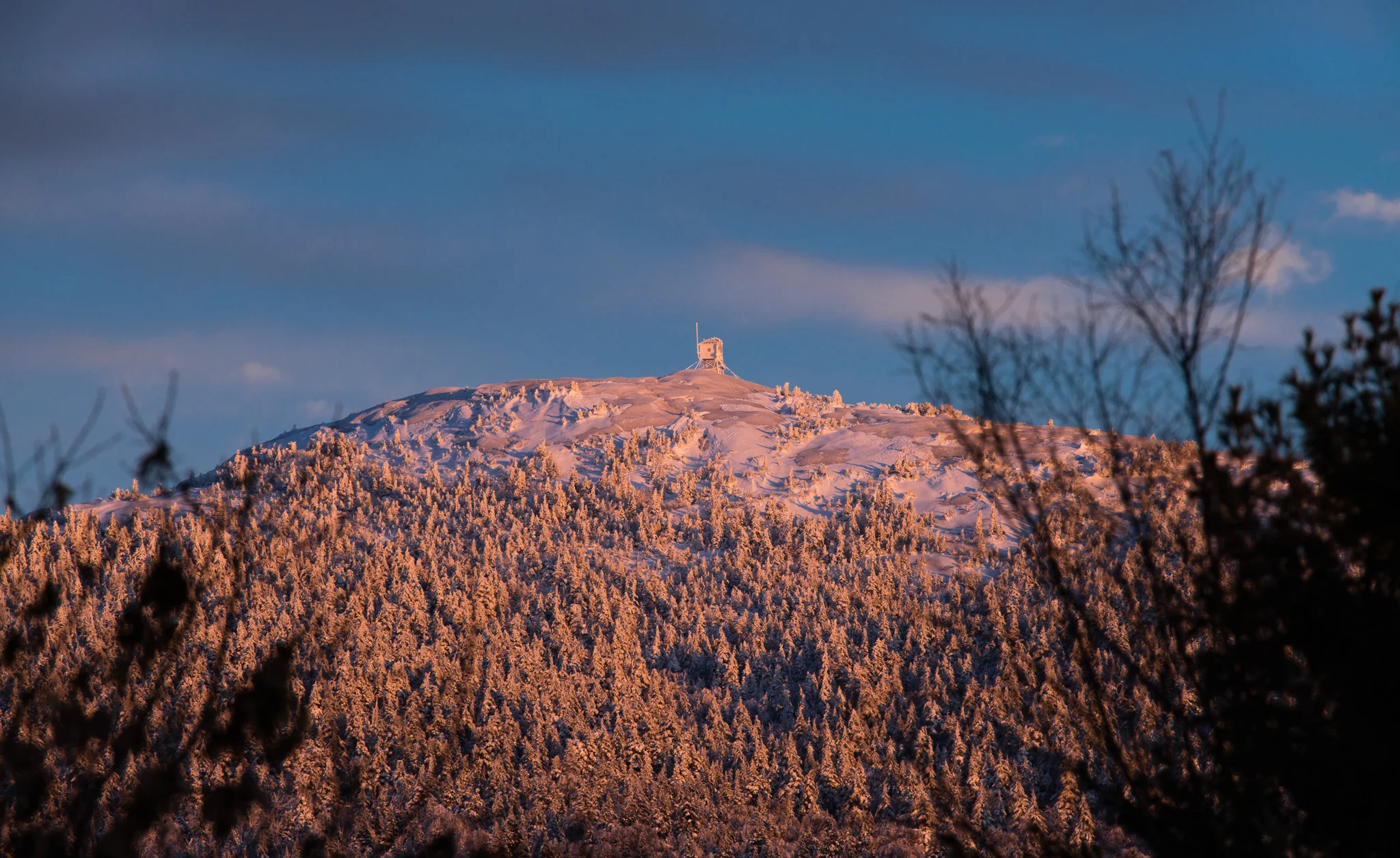 Cardigan Summit