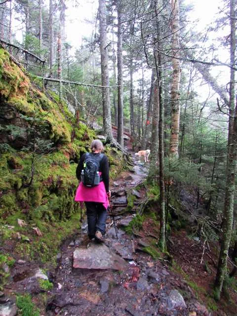 South Ridge to Rimrock