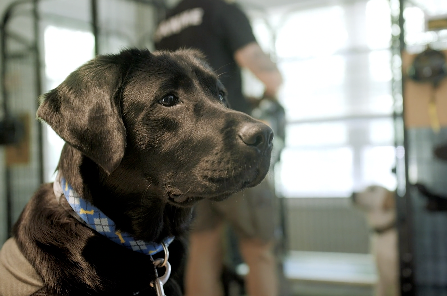 Screen Shot 2023-01-05 at 10.47.36 AM.png