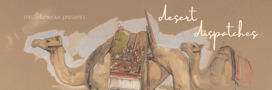 desert camels draped in tapestries with "desert dispatches" in cursive