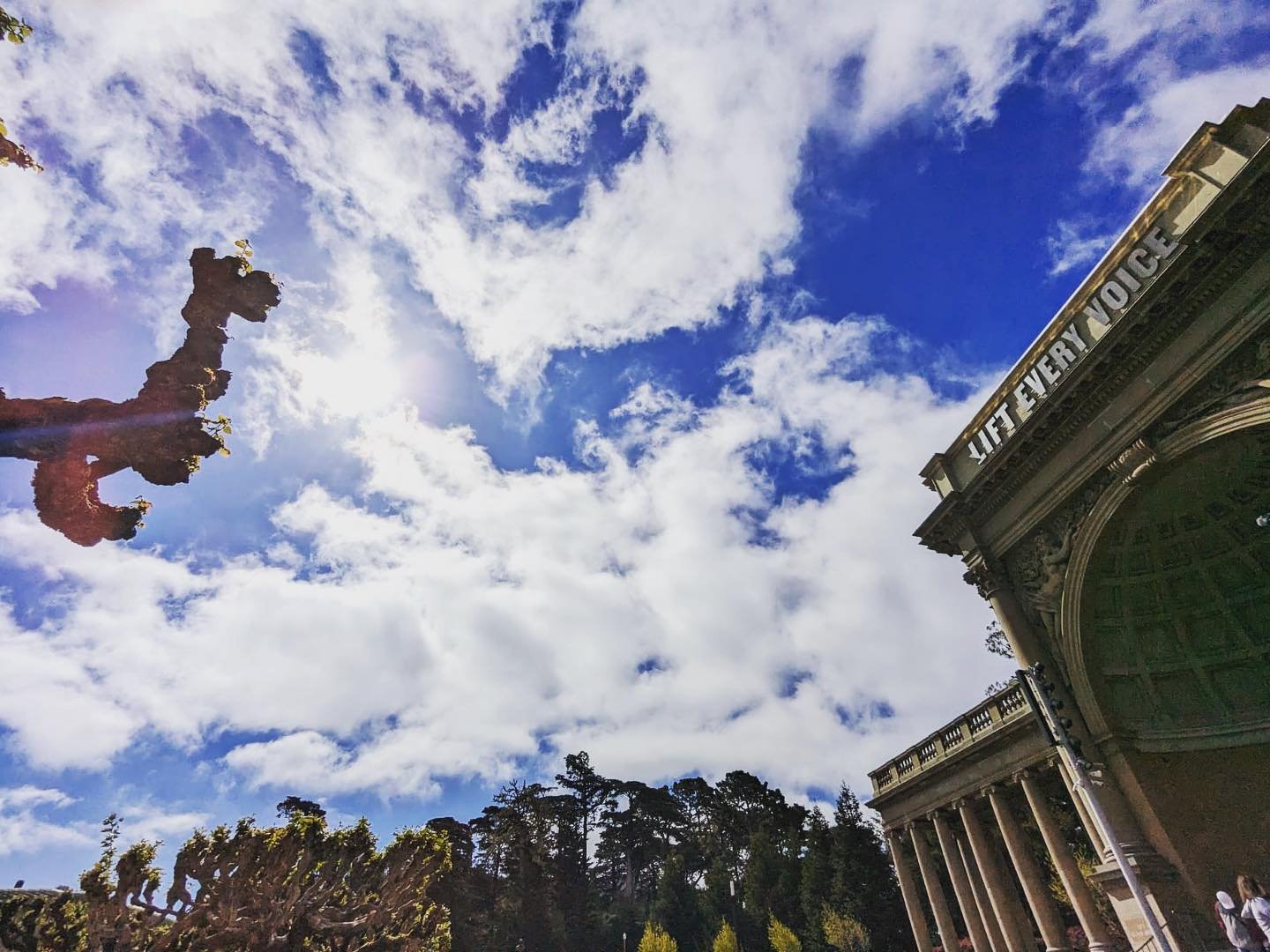 Come enjoy how amazing San Francisco is &hellip; free music and poetry at the bandshell, our sets at 1 and 2:30pm. Meanwhile support local businesses! Check out ☕️ @snowbirdcoffee 📚 @booksonthepark 🍽 @deyoungmuseum 🥳 @calacademy 🍦@twirlanddip