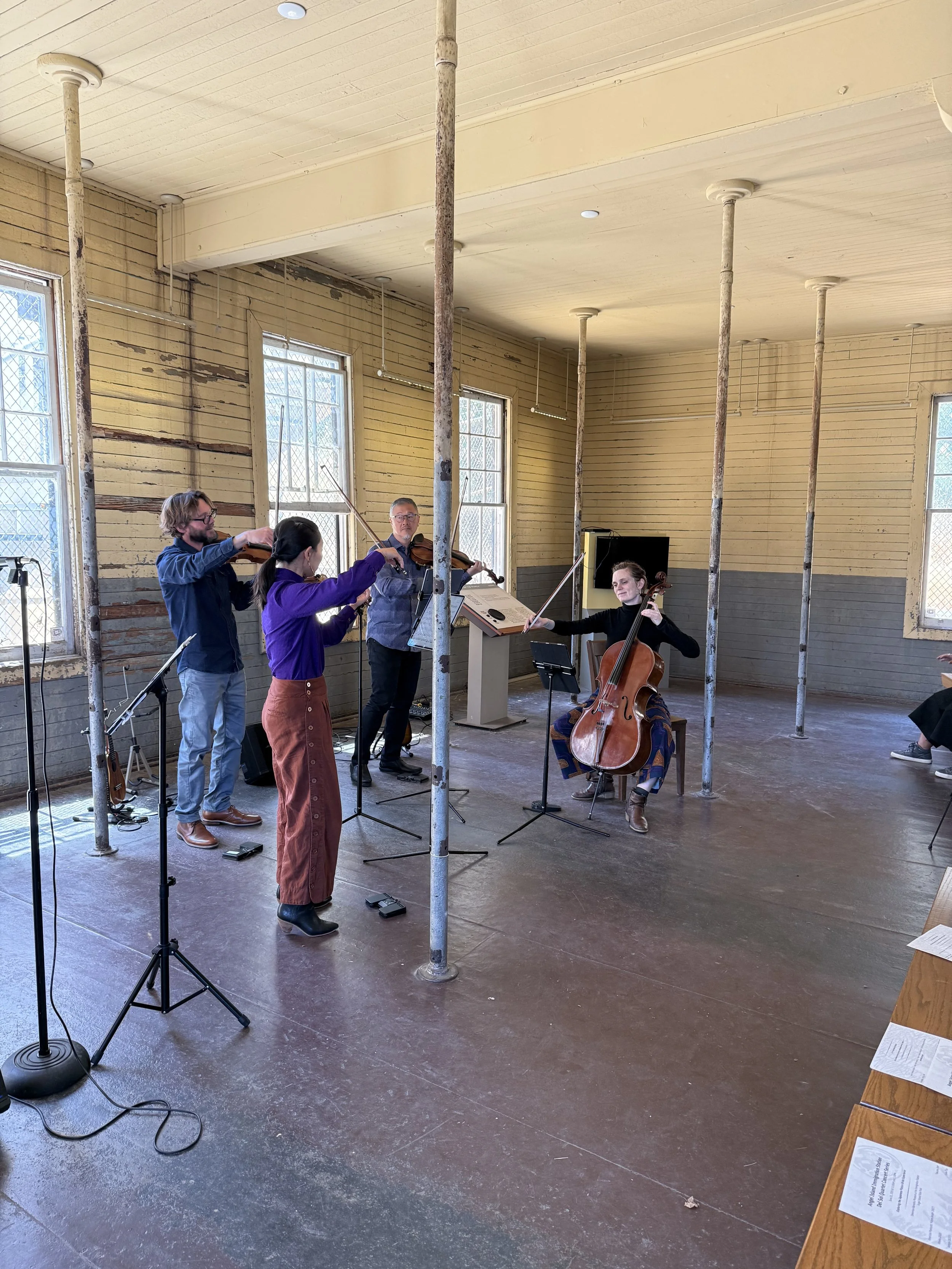 Del Sol Quartet on Angel Island
