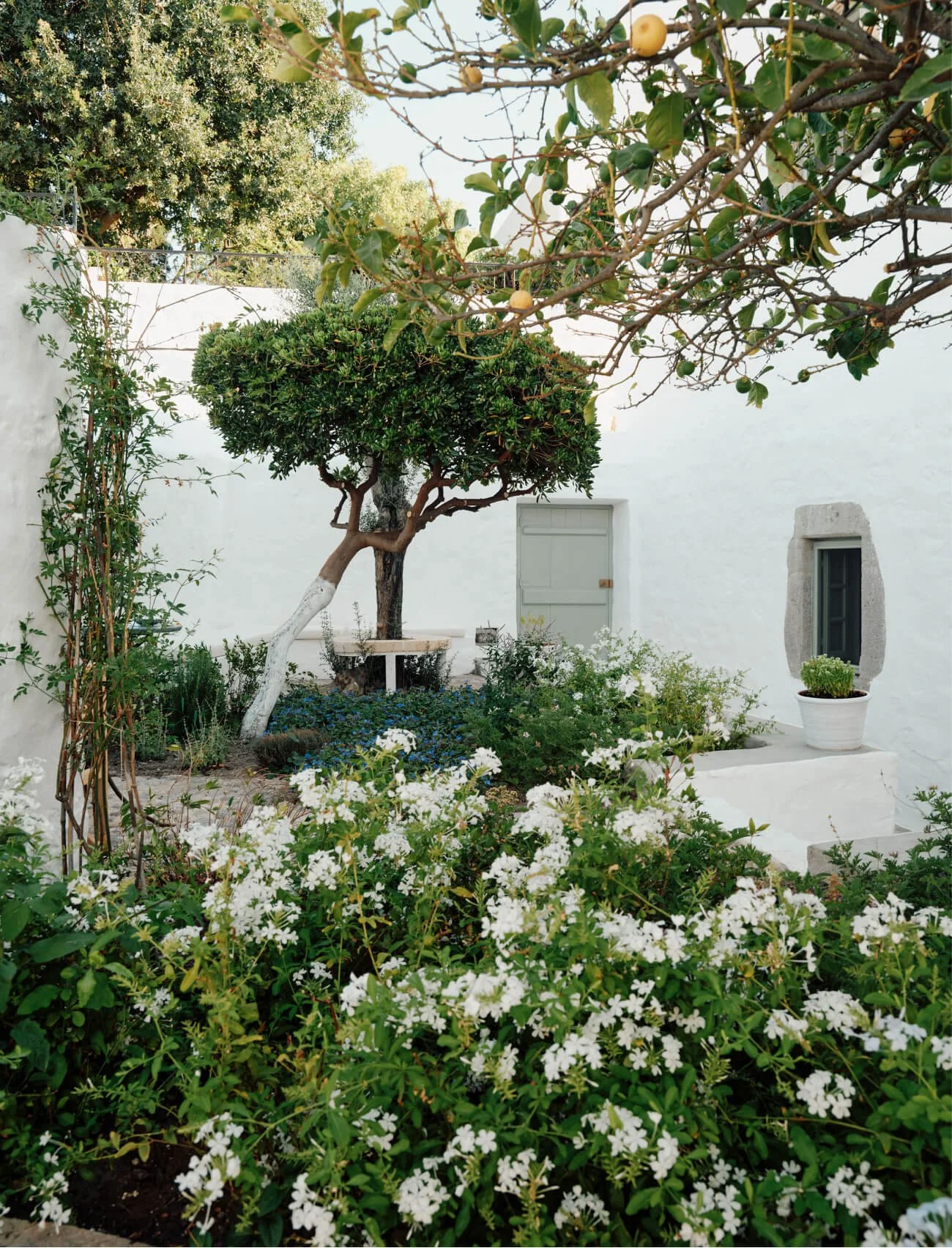 DSF1265-2.jpg