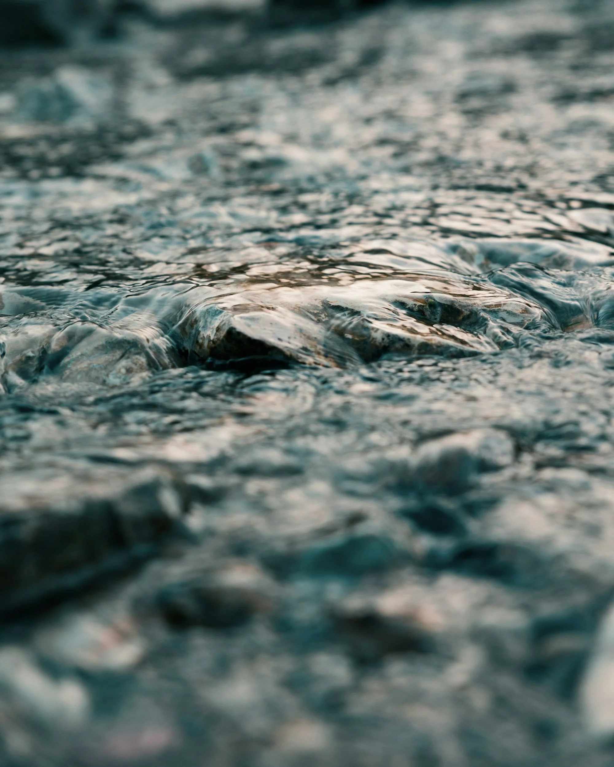 unsplash-image-_psD1Rxq4g4.jpg