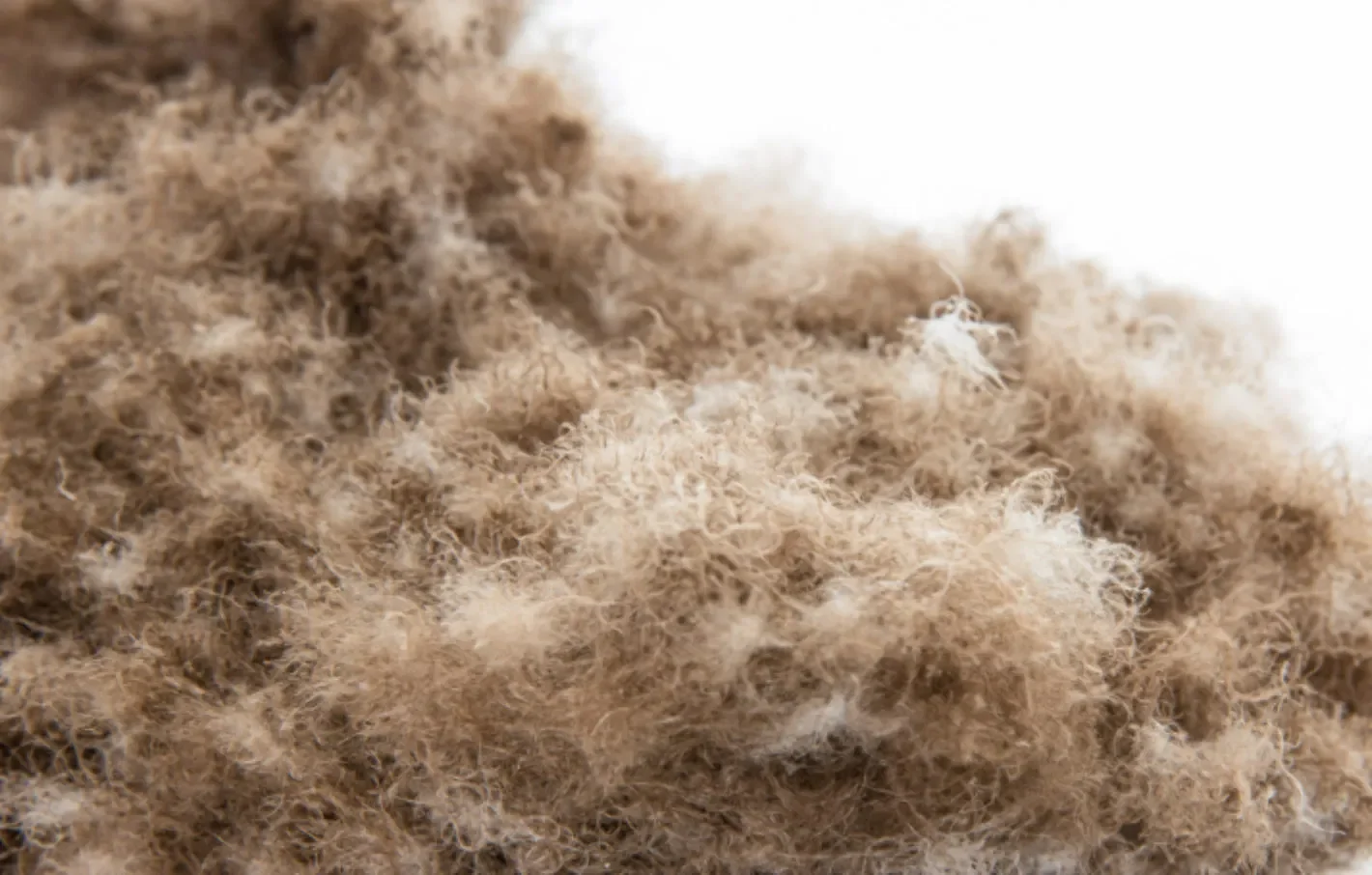 pure-eiderdown-1420x0-c-default.jpg.webp (Copy)