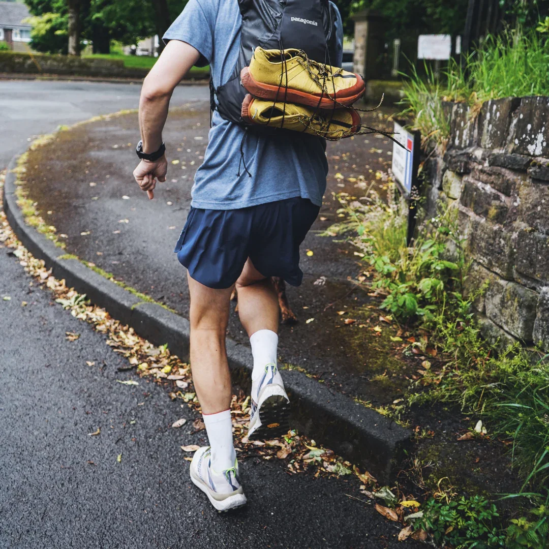 sayonara, lonely wolf. (5).webp