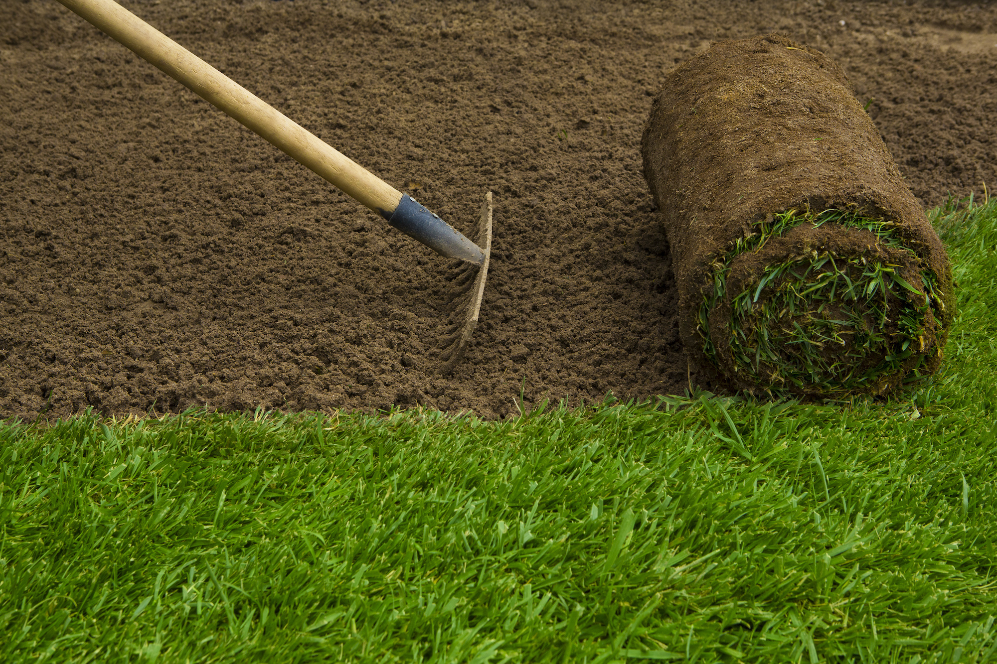 Preparing for Turfgrass Sod.jpeg