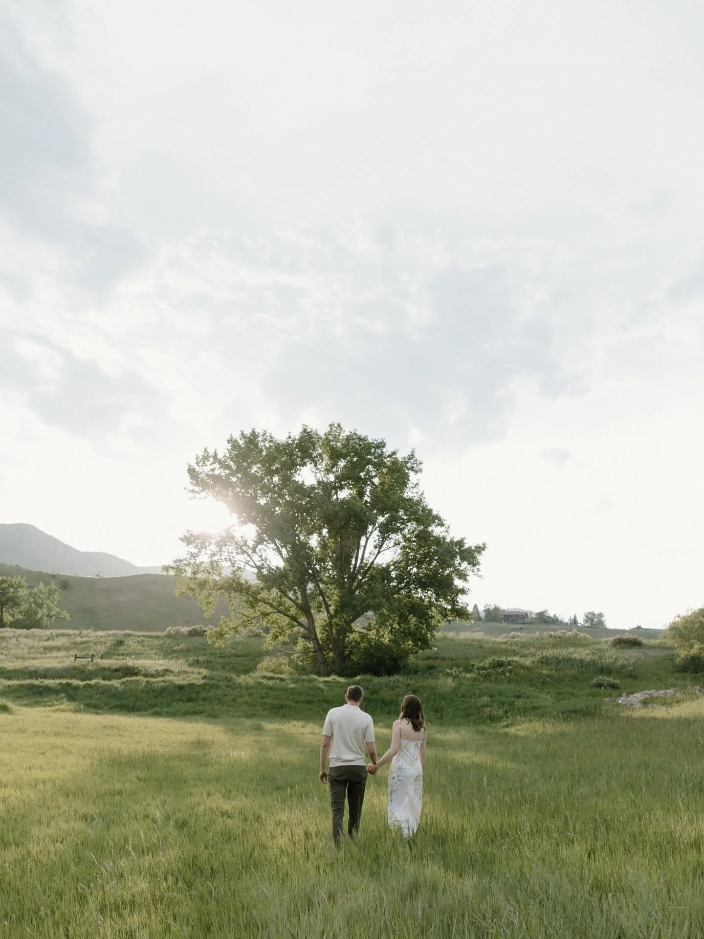 Happy new year, hope it&rsquo;s golden 💛

.
.
.
#newyears #newyear #2026 #2026bride #weddingphotographer