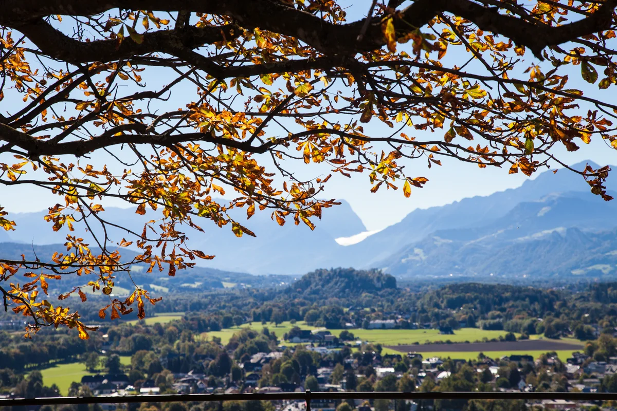 view from the fortress.jpg