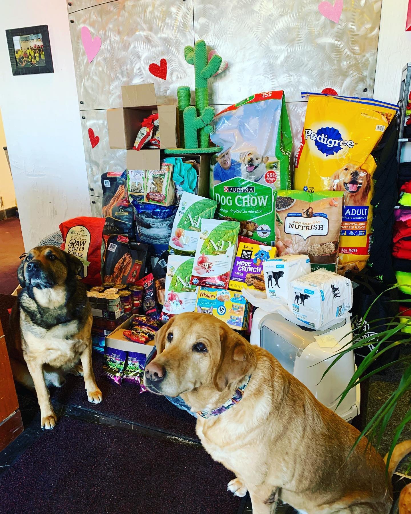 2022 Blue Water Area Humane Society Animal Food Drive