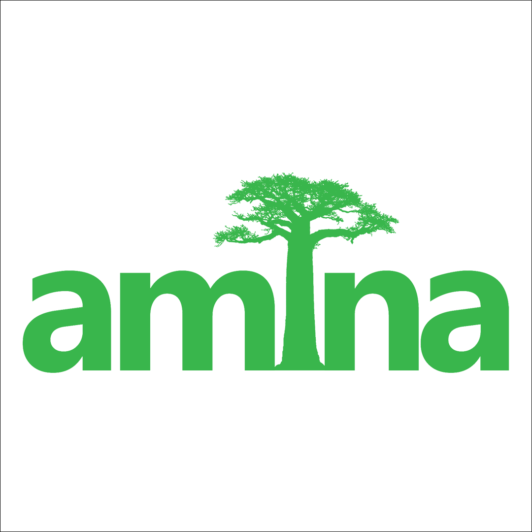 Amina International