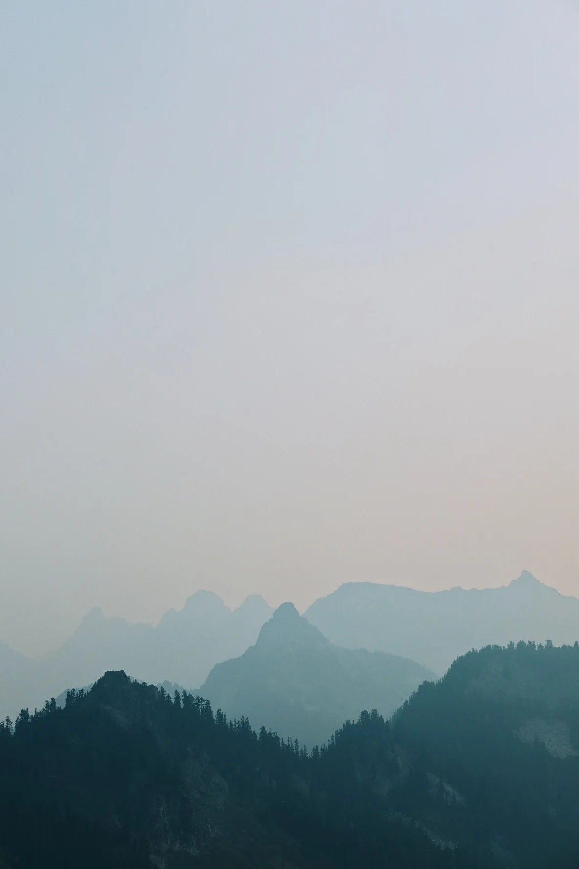88801ca8-bae4-475b-95e7-c832645d4aa6.jpg