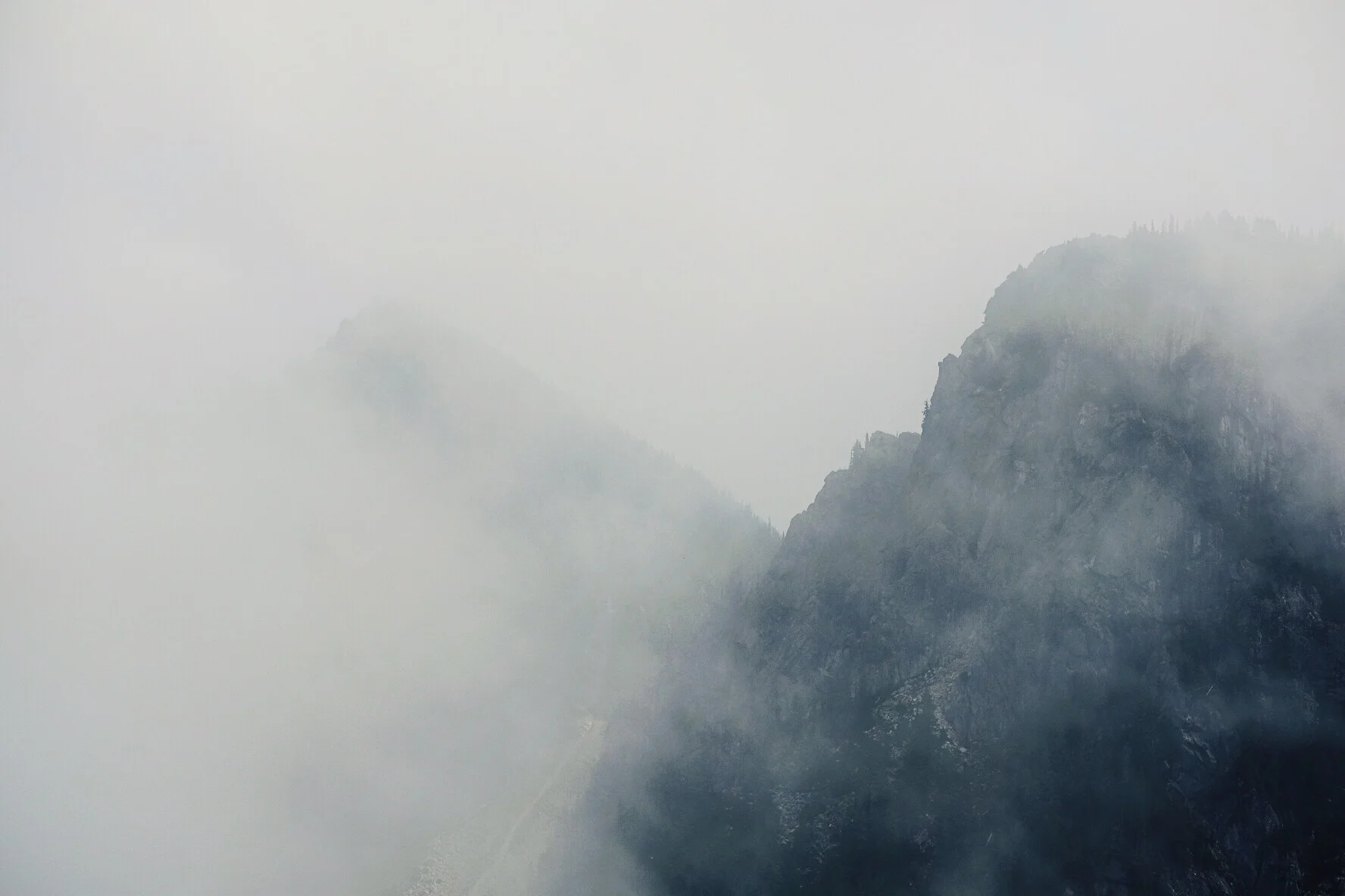 d381761b-3982-4956-87ac-c4deb691c05f.jpg