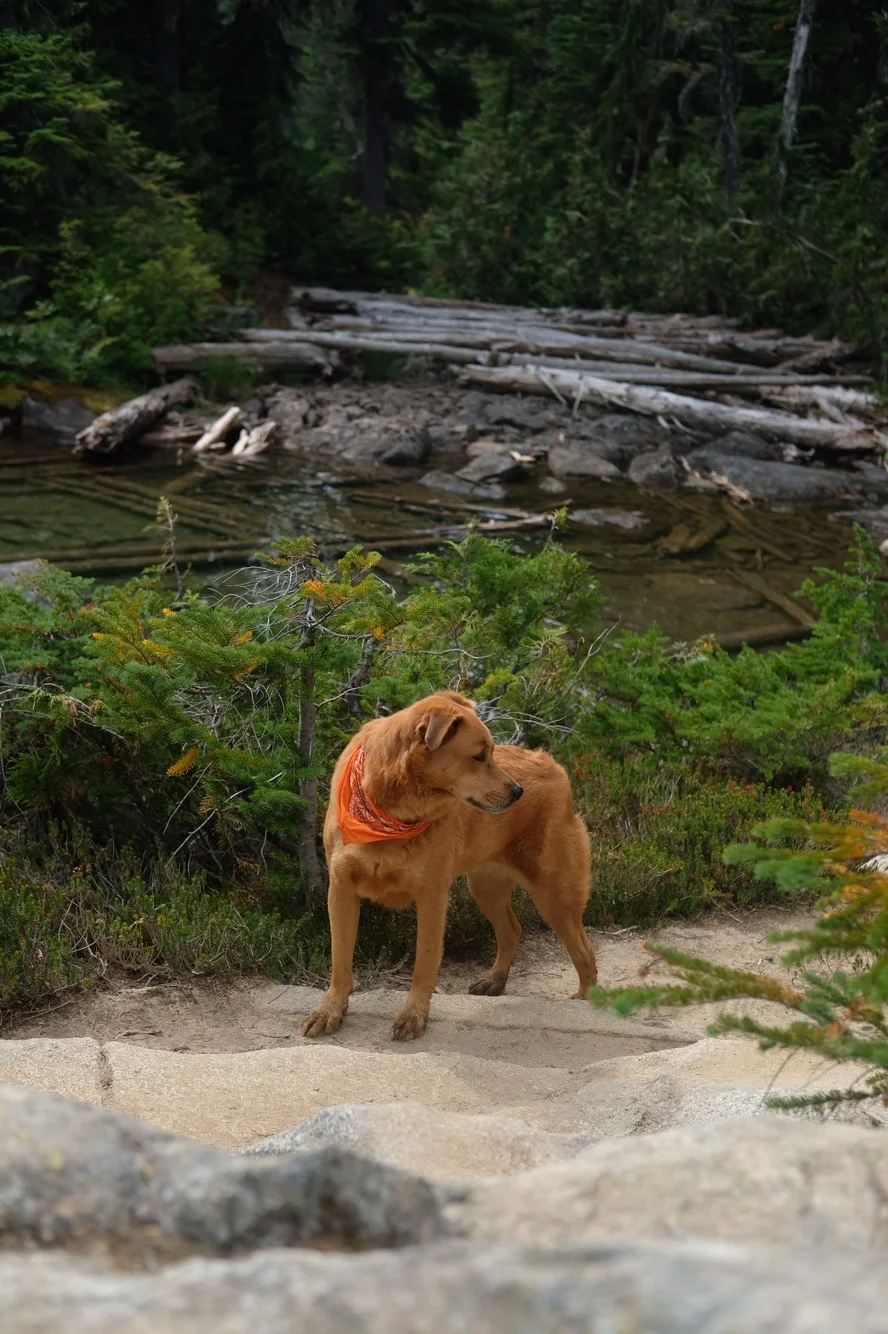 img_5460.jpg