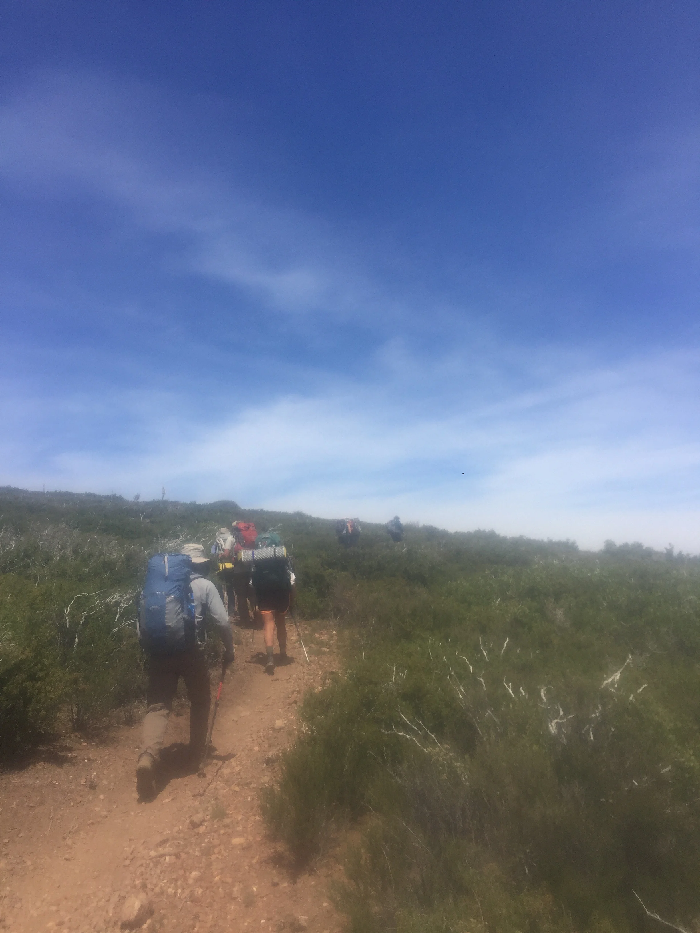 Day 3 : Mt Laguna Overlook (mi. 48) to Mile 73.9