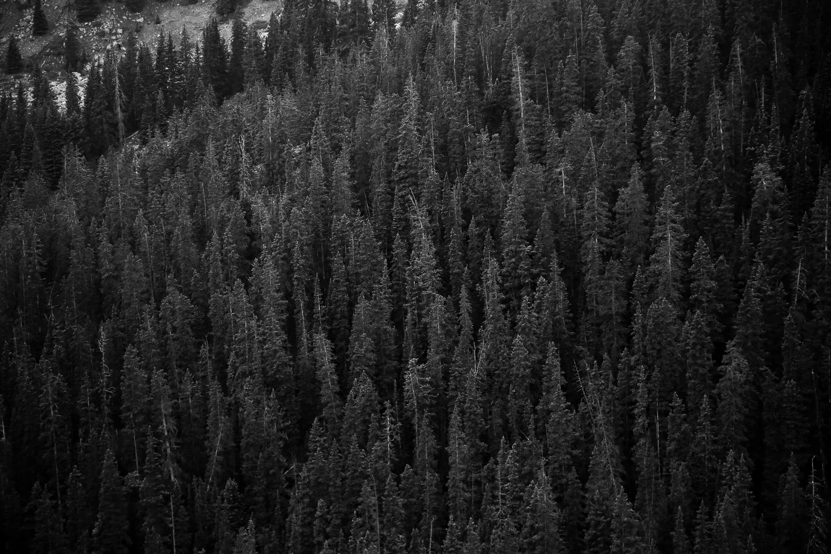 Pre-Trail: Fear.