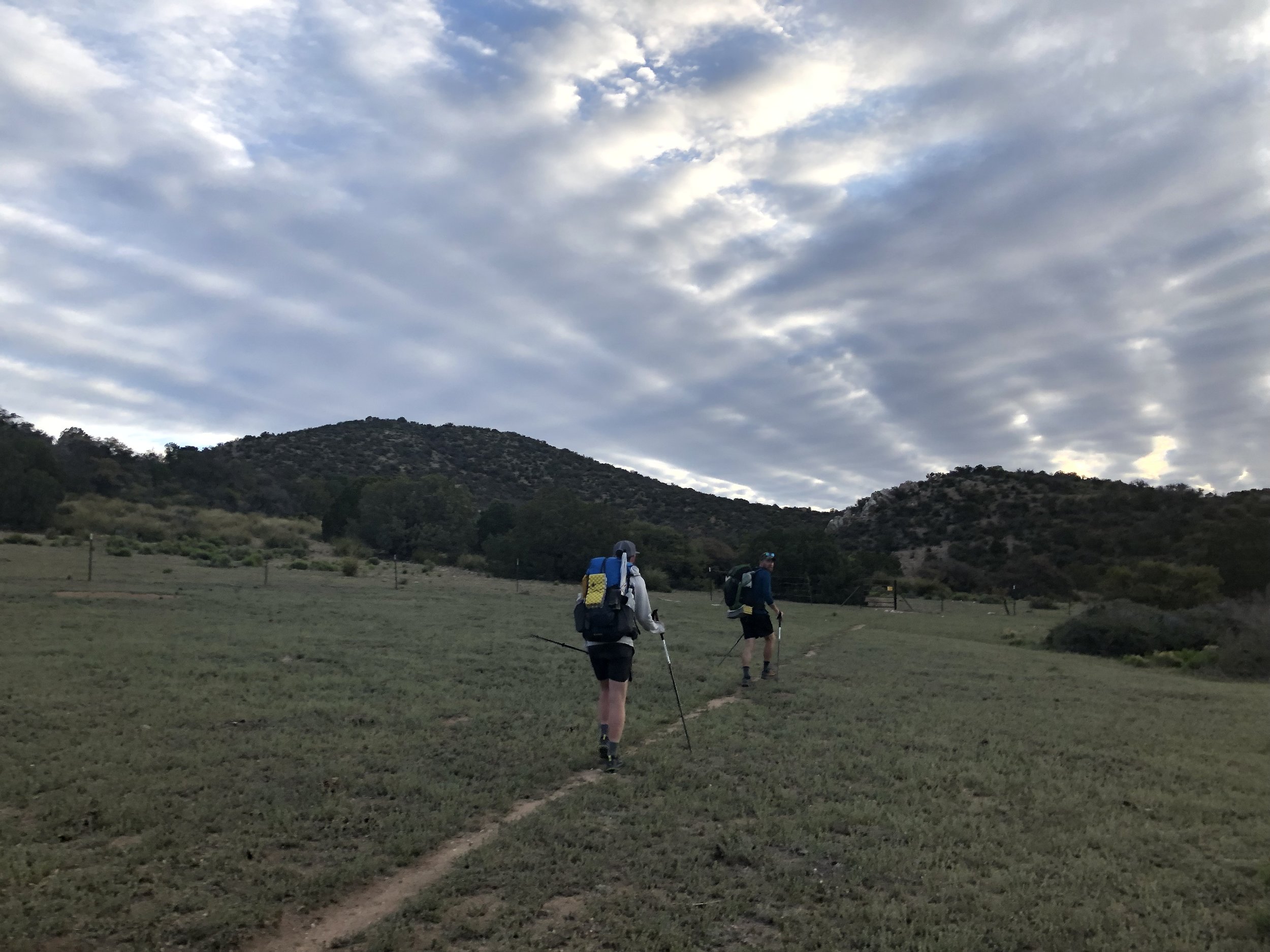 SINGLE TRACK! AND GRASS!