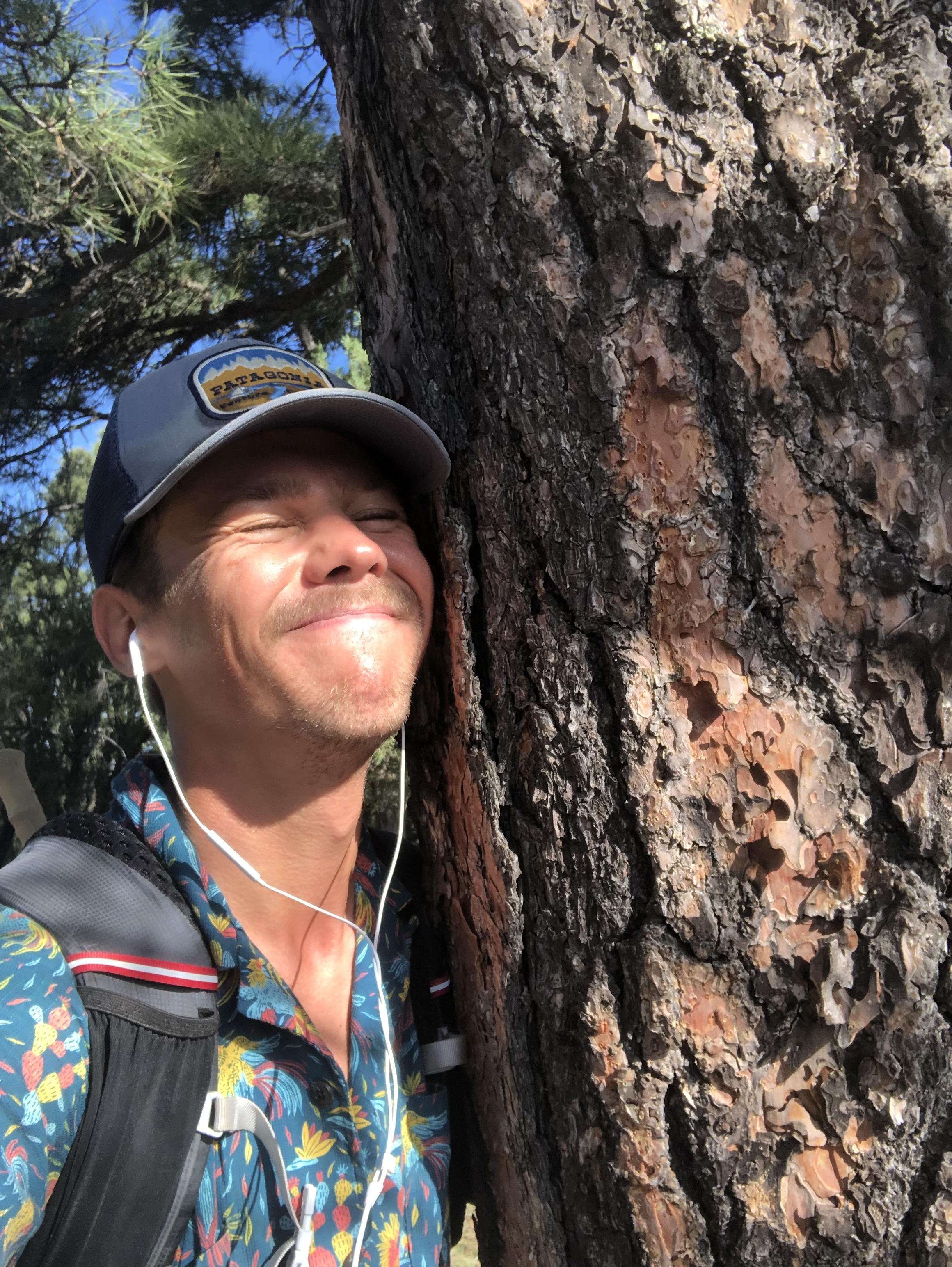 First real tree of trail ❤️