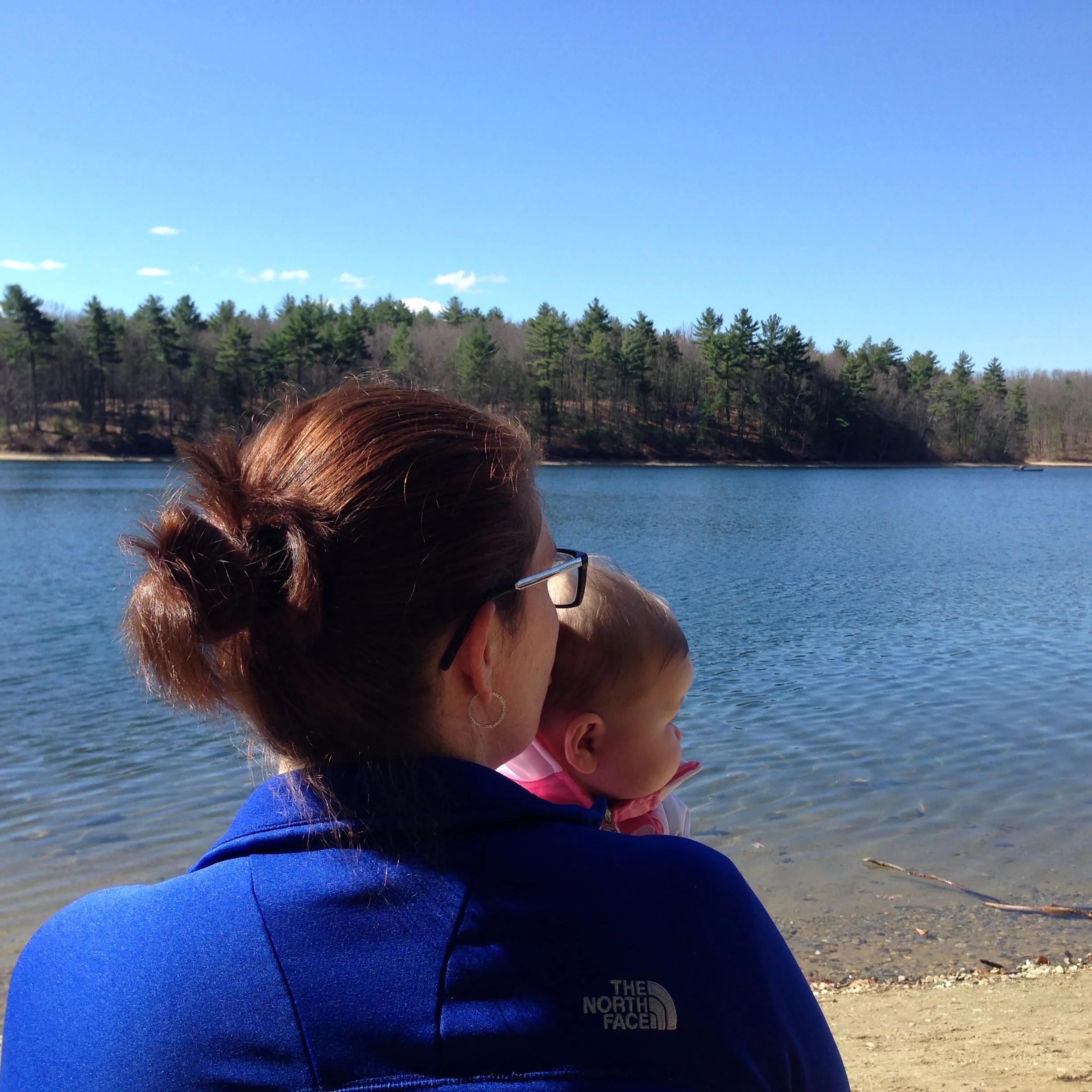 Thoreau's Journal - April 24th, 1859