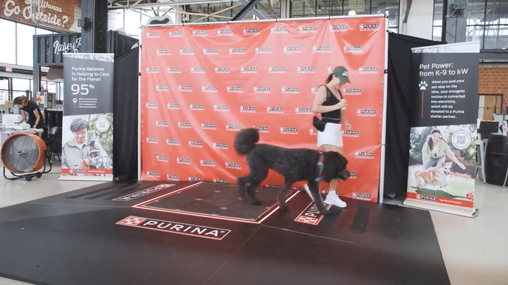 PURINA_02_16x9-high.gif