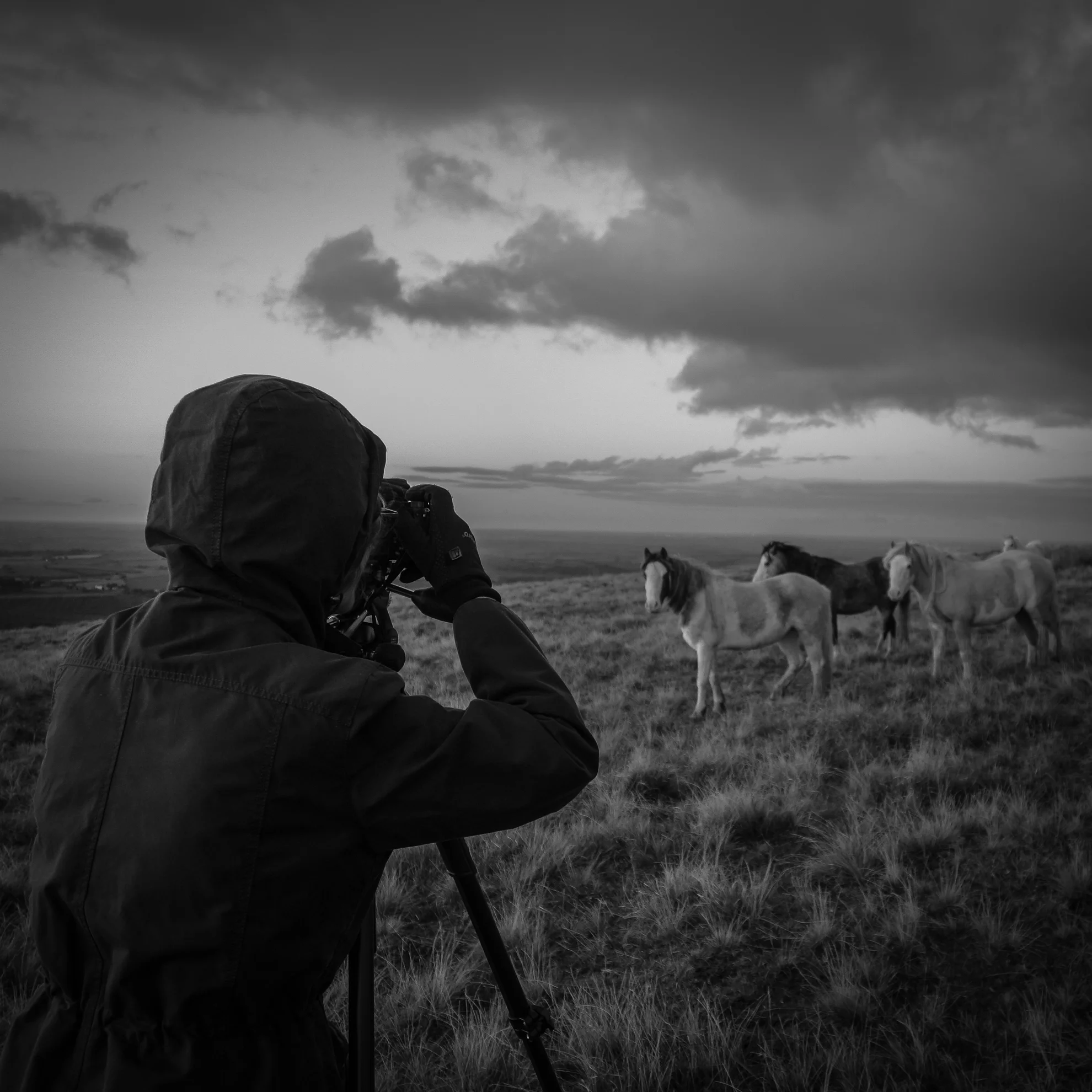 Photograph courtesy of Stephen Rees