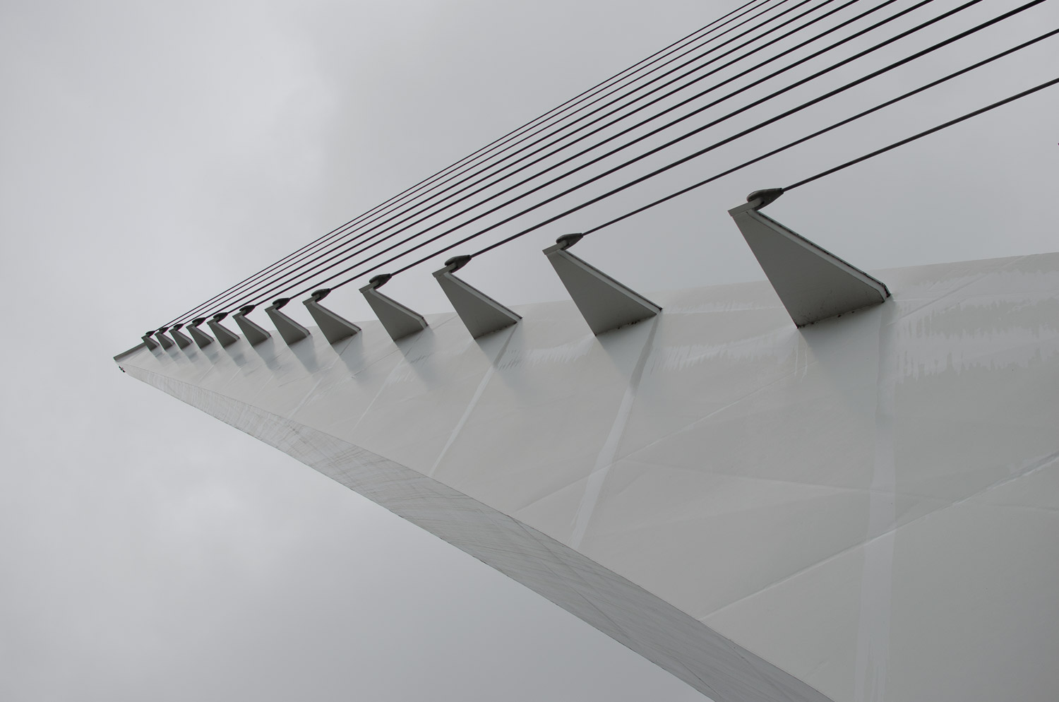 20171110 Burney Shasta Whiskeytown-36.jpg