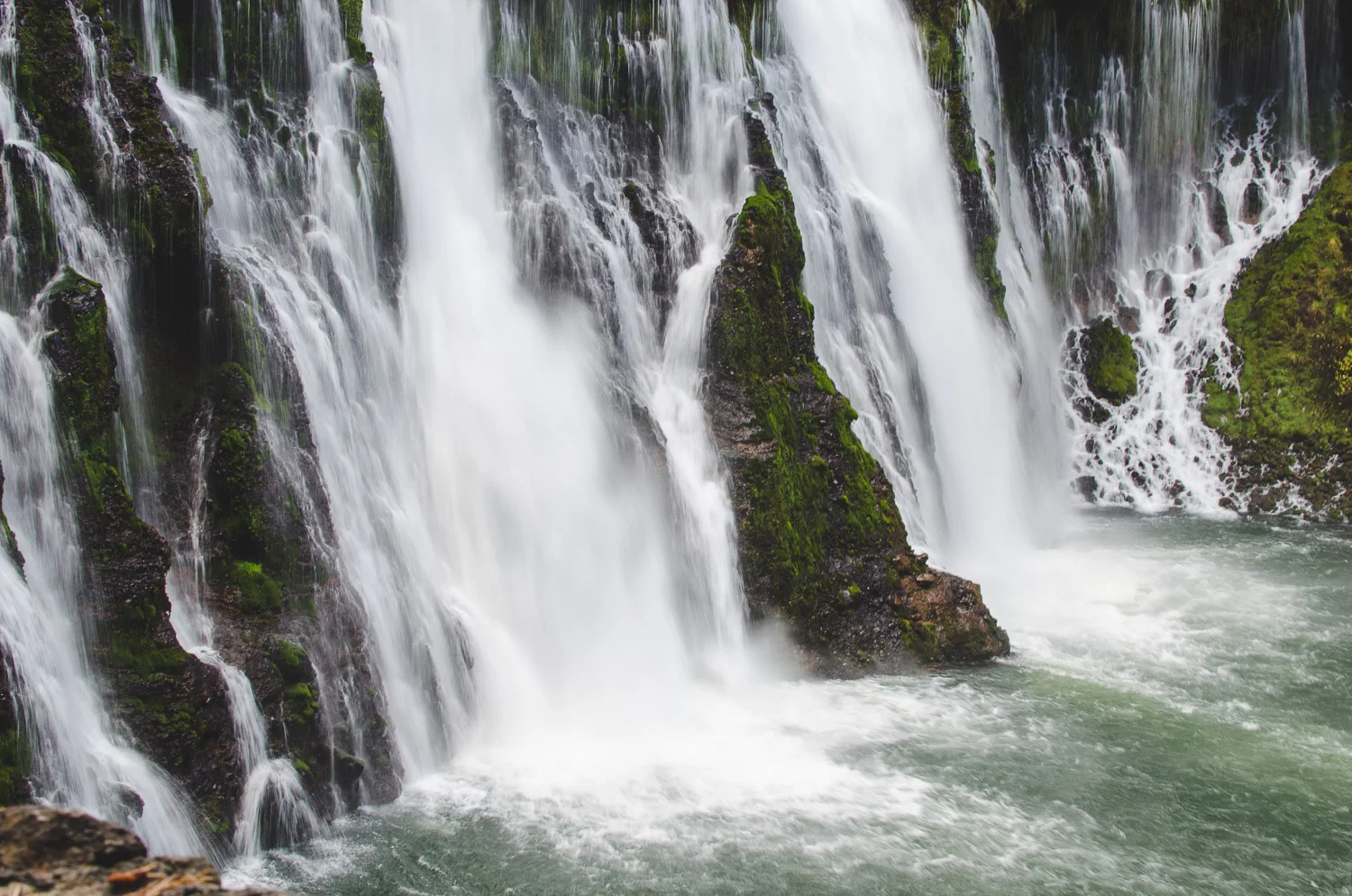 20171110 Burney Shasta Whiskeytown-220.jpg
