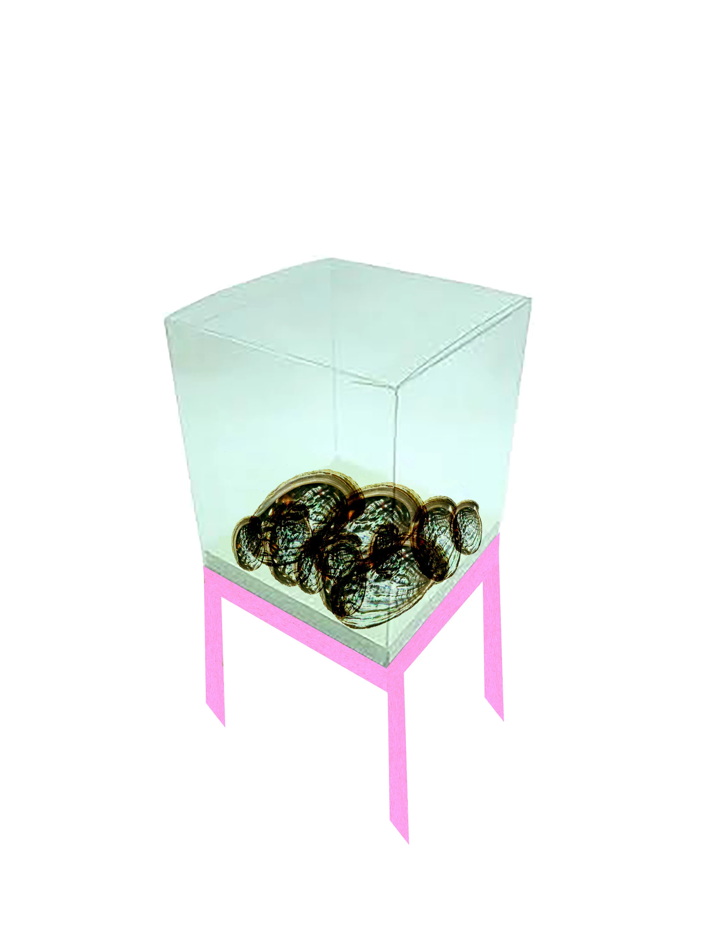 Portal III - Childhood