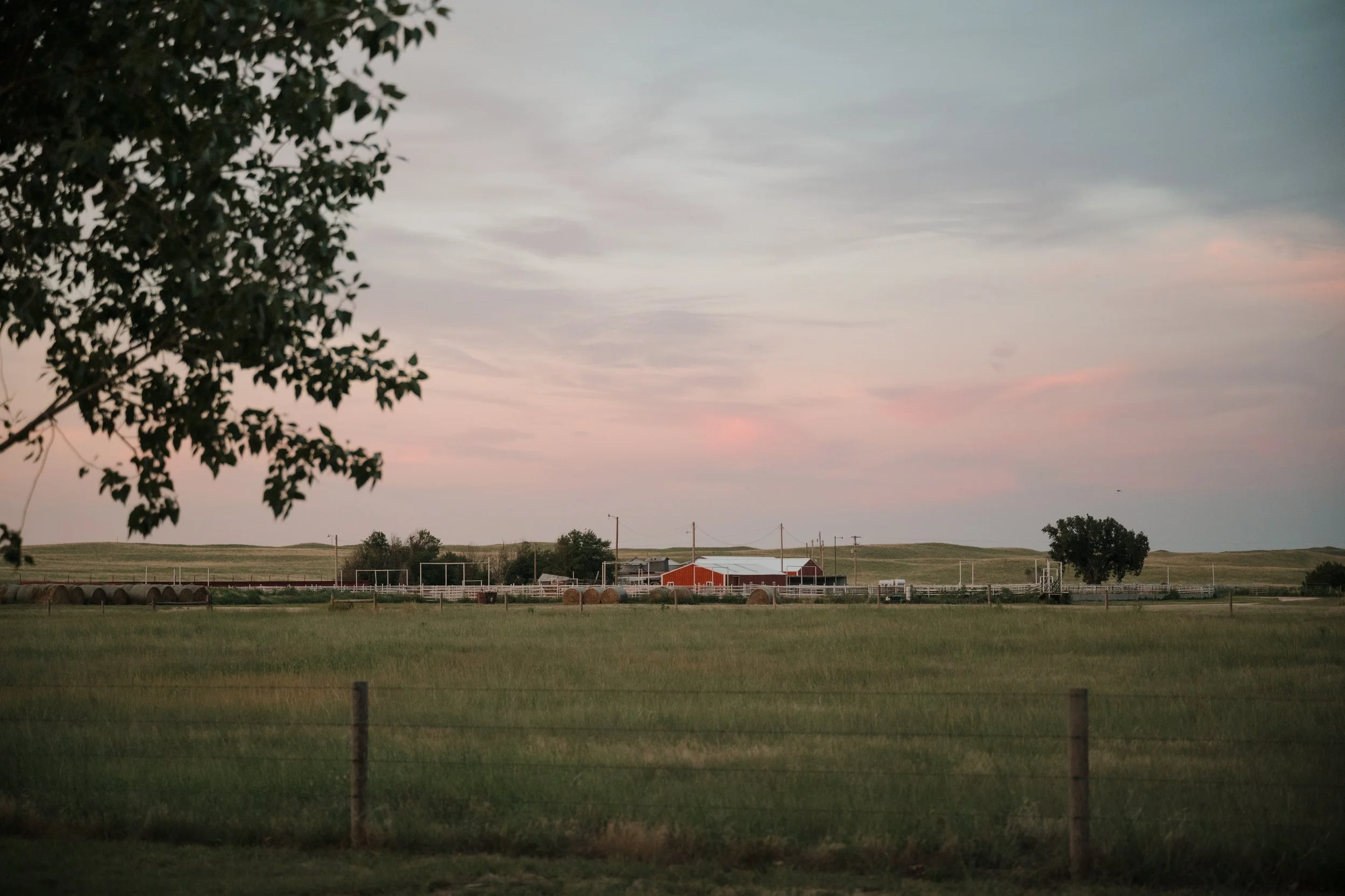 Buck Ranch-186.jpg