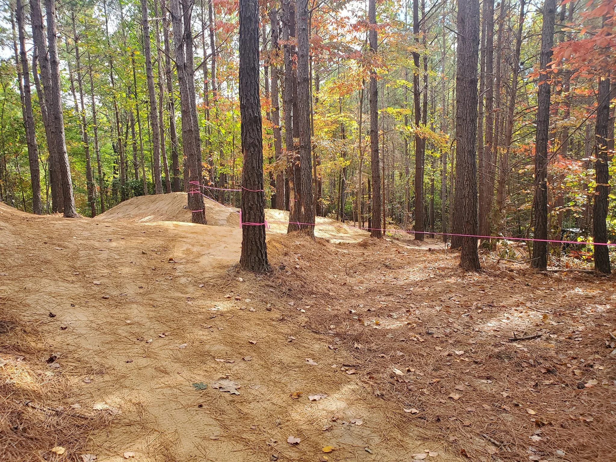 trail pink tape.jpeg
