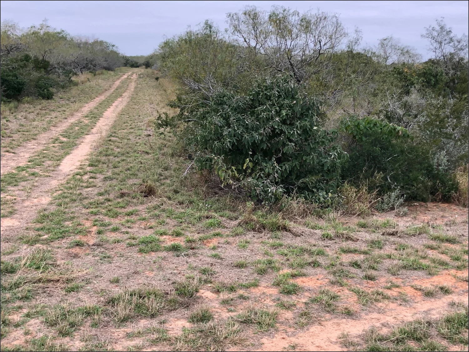 dirtroad_smallborder.JPG