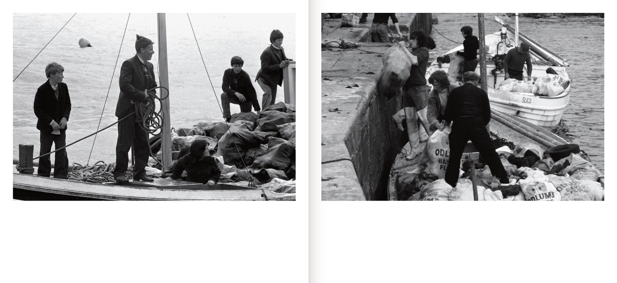 ToraighToryIsland-inside-spreads-2.png