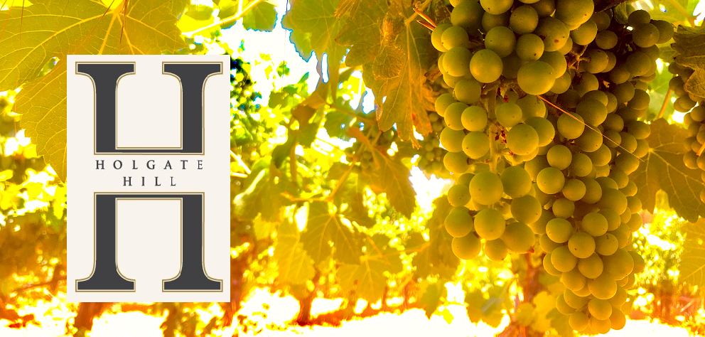 Holgate-Hill-With-Grapes.png