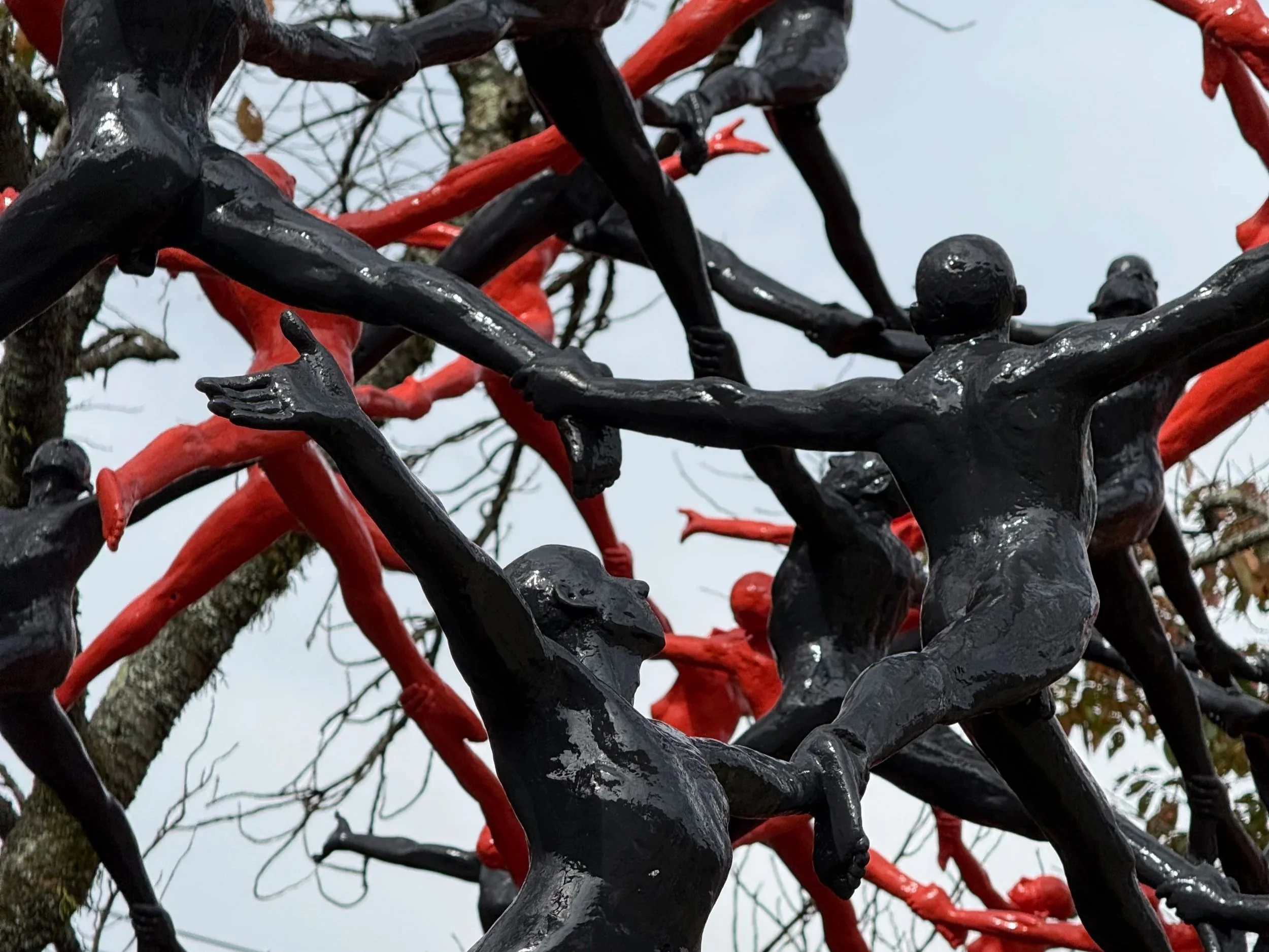 The Power of Nonviolent Communication