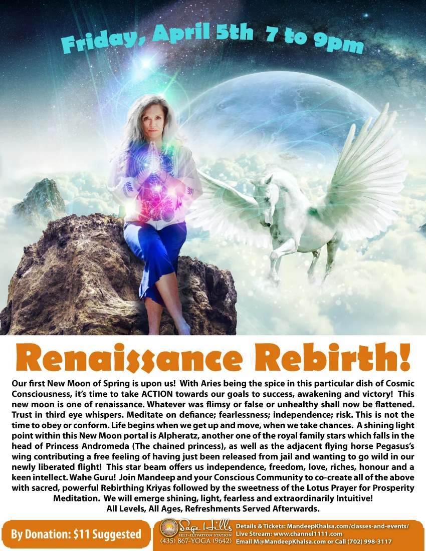 SH_Renaissance-Rebirth_Flyer_2019-03-29a-01.jpg